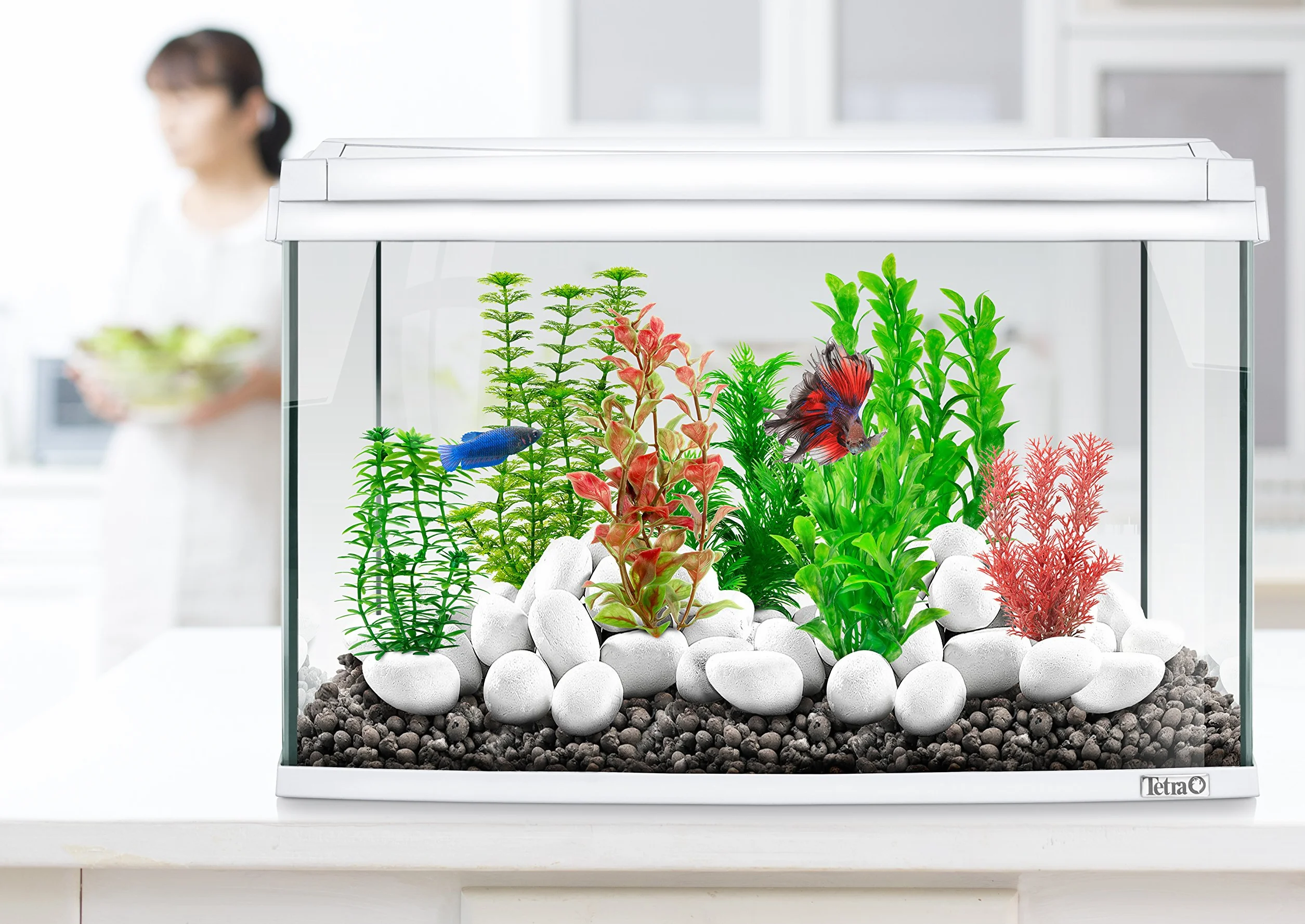 Tetra DecoArt Plantes Artificielles Aquatiques pour Aquarium Réplique réaliste Hygrophila Vert