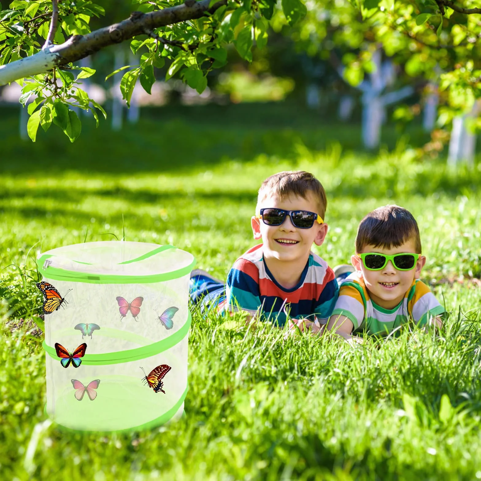 Cage à Papillon Pliable 35cm Maille Insecte Élevage Serre Pop Up Pour Enfants Jardin Vert