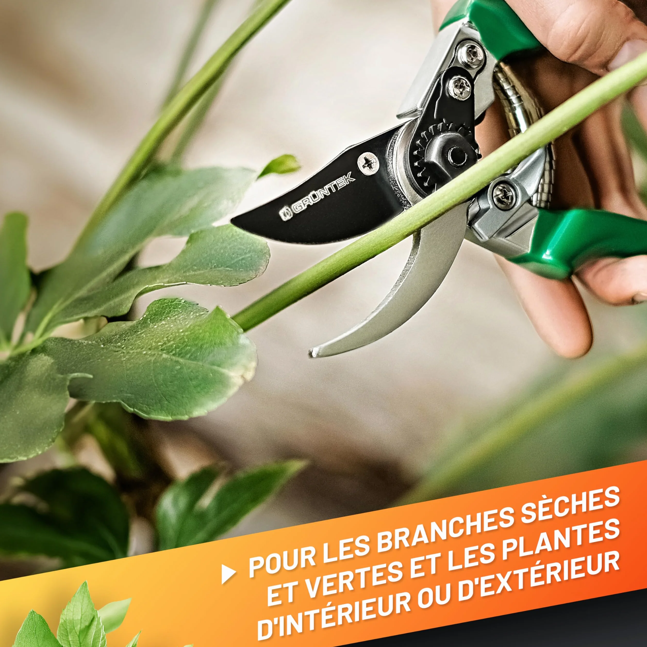 GRÜNTEK Sécateur de Jardin Professionnel Acier Japonais Teflon