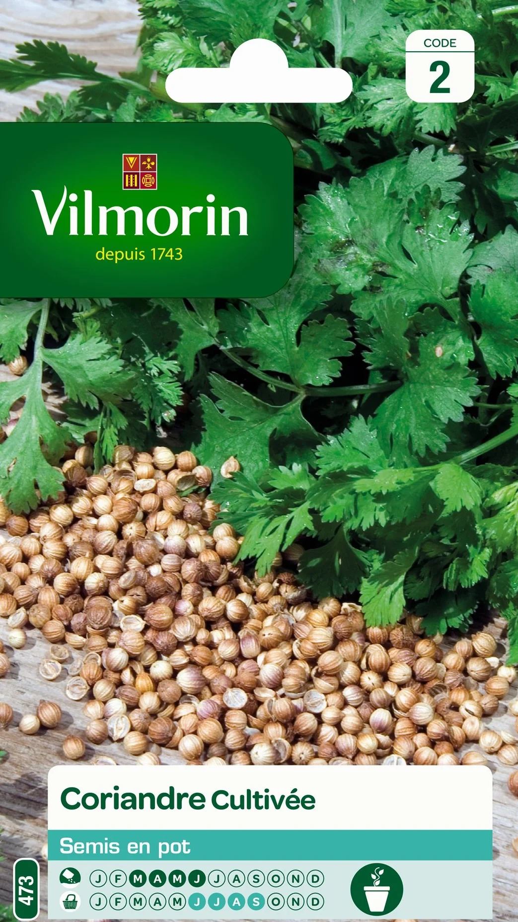 Vilmorin Pack de Graines Coriandre Cultivée
