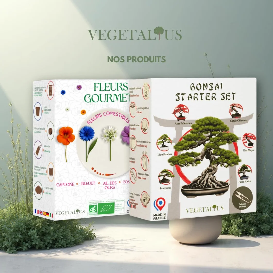 Kit complet de 6 Bonsai avec graines et accessoires Fabriqué en France Coffret cadeau original