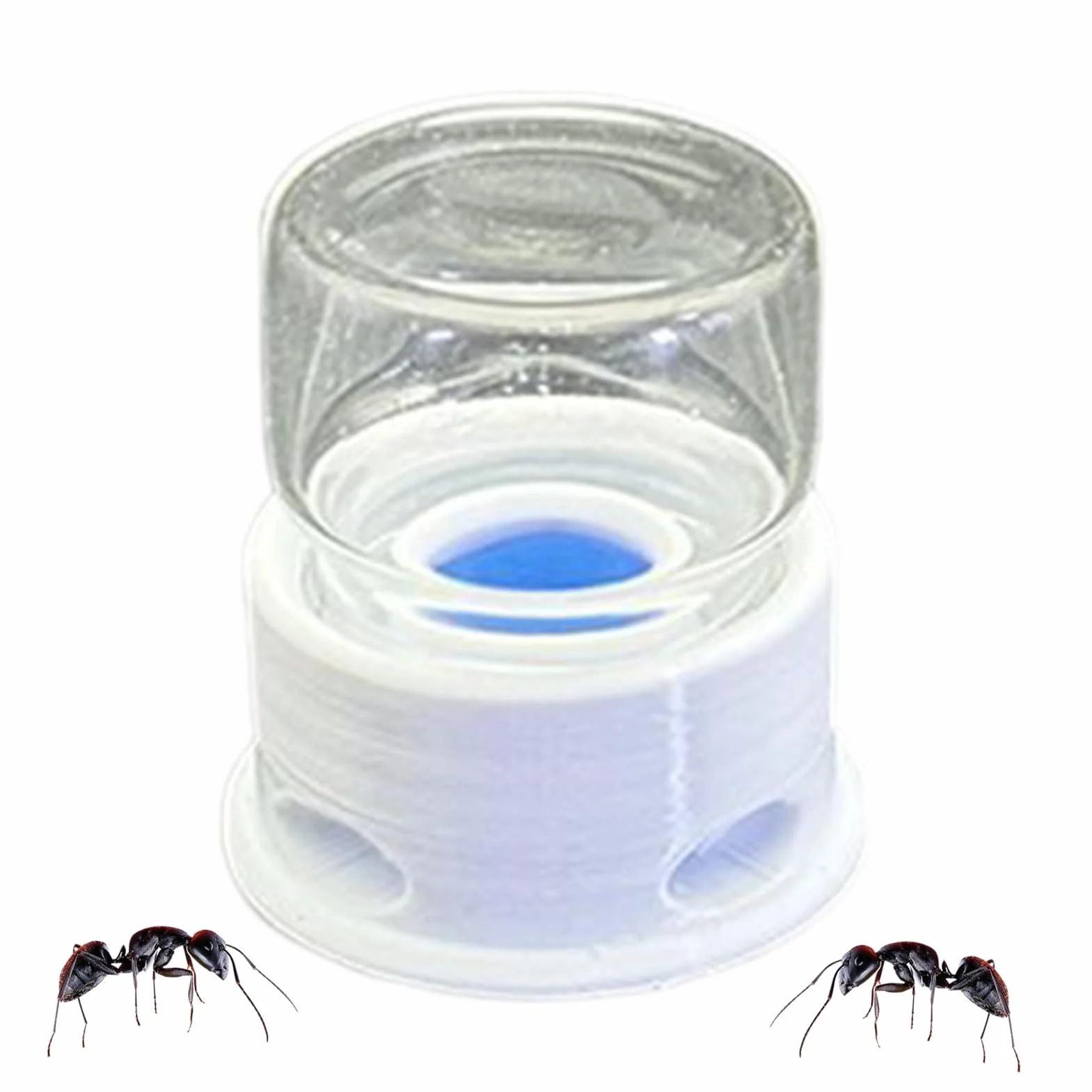 Distributeur pour Fourmis, Fontaine À Eau pour Abeilles, Distributeur À Boisson Transparent Multifonction
