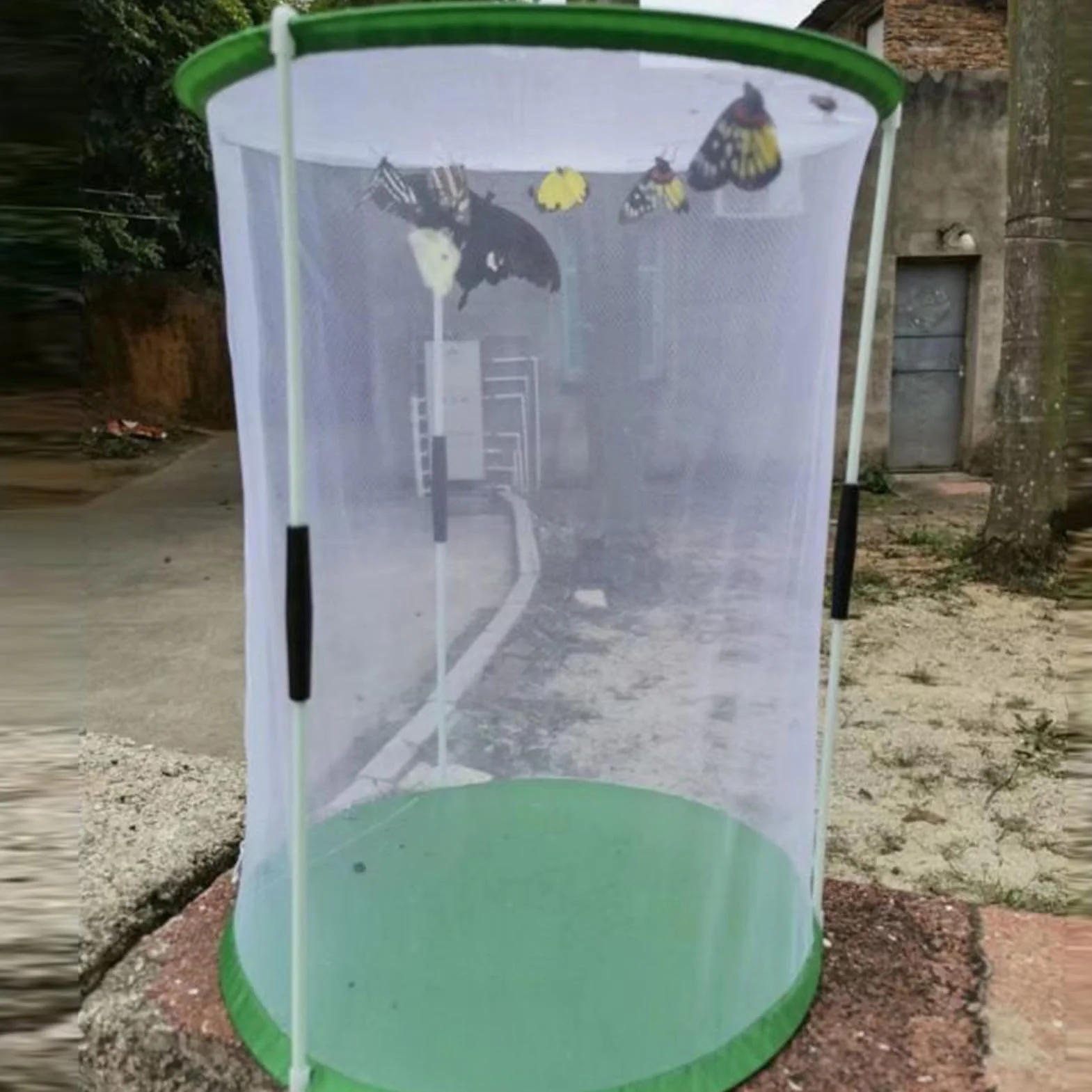 Maison Papillons Cage à Chenilles 30 x 40 cm avec Fermeture Éclair - Abri Pliant pour Élevage