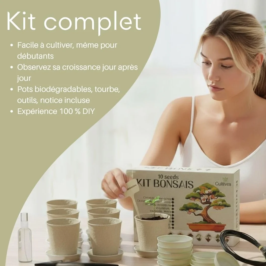 CULTIVEA® Kit Bonsai Prêt à Pousser – Coffret Complet Graines Pots Outils Notice – Jardinage Intérieur