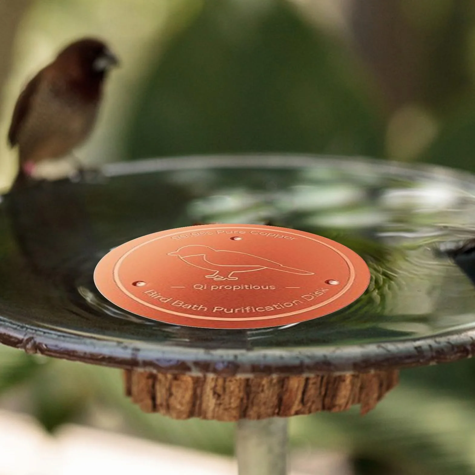 Bain d'oiseaux en cuivre avec support stable pour jardin
