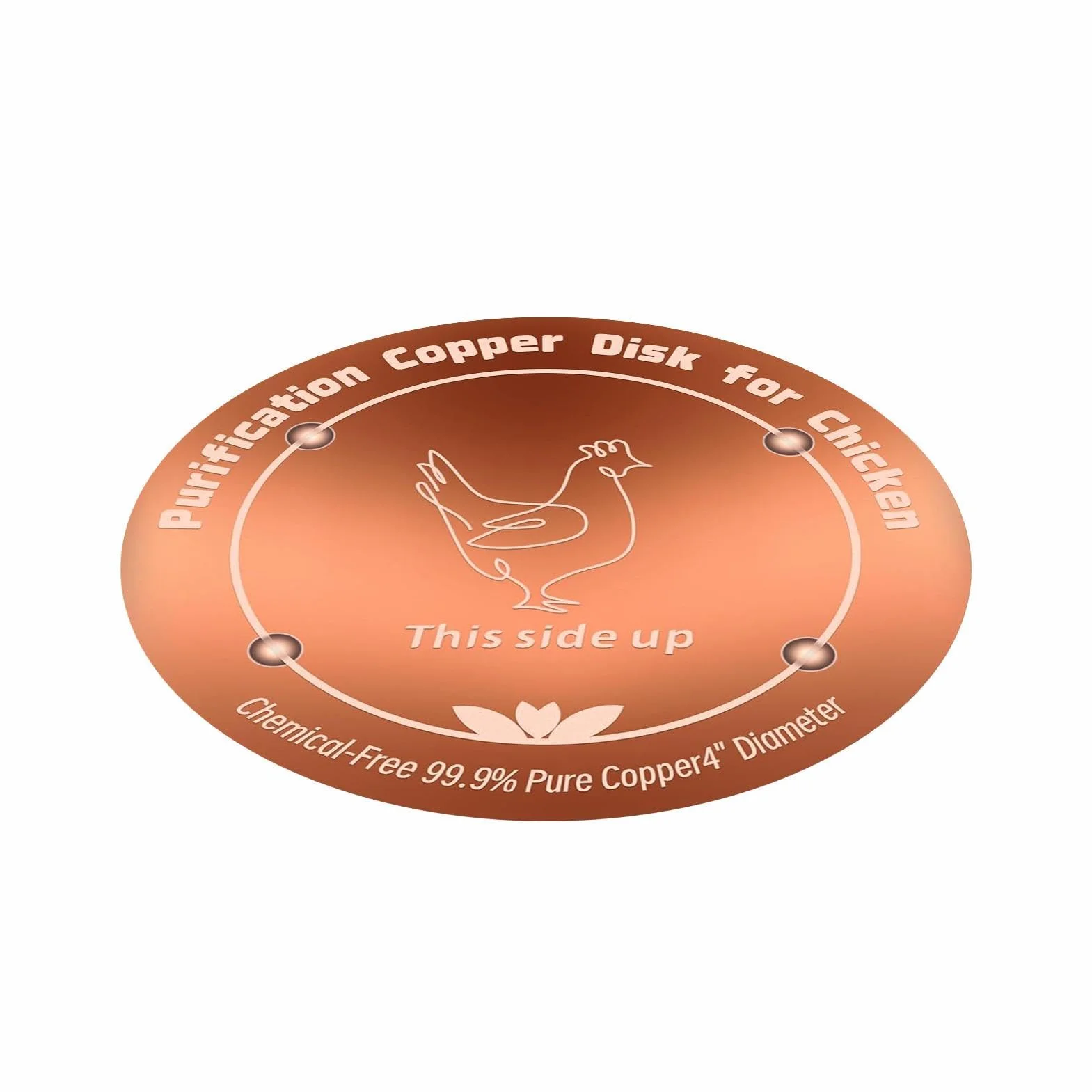 Bain d'oiseaux en cuivre 99,99 % cuivre 10,2 cm diamètre 0,6 mm épaisseur autonettoyant