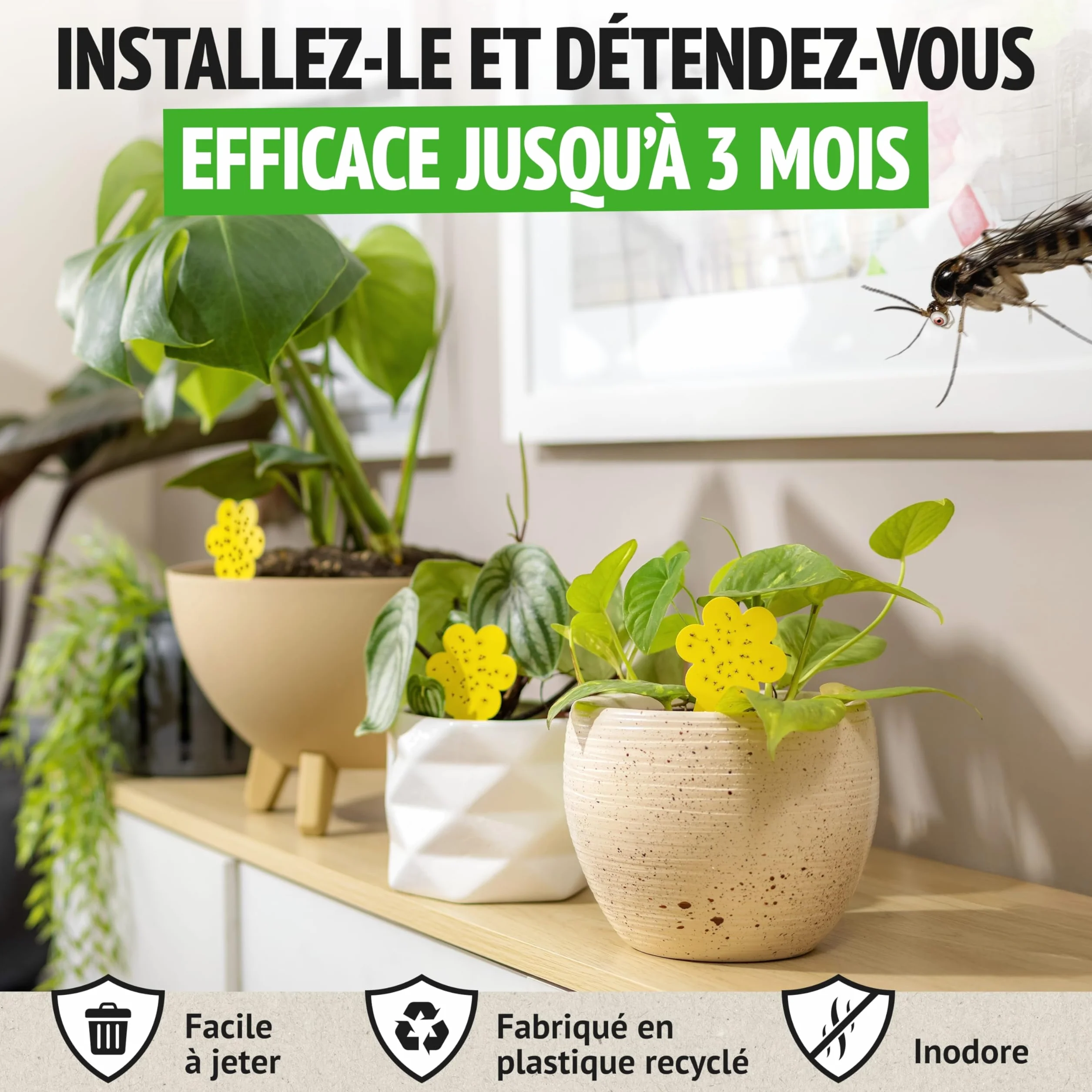 Anti Moucherons Intérieur Plantes, 10 Pièges Jaunes Collants Non Toxiques, Piège Moucherons Ultra Efficace