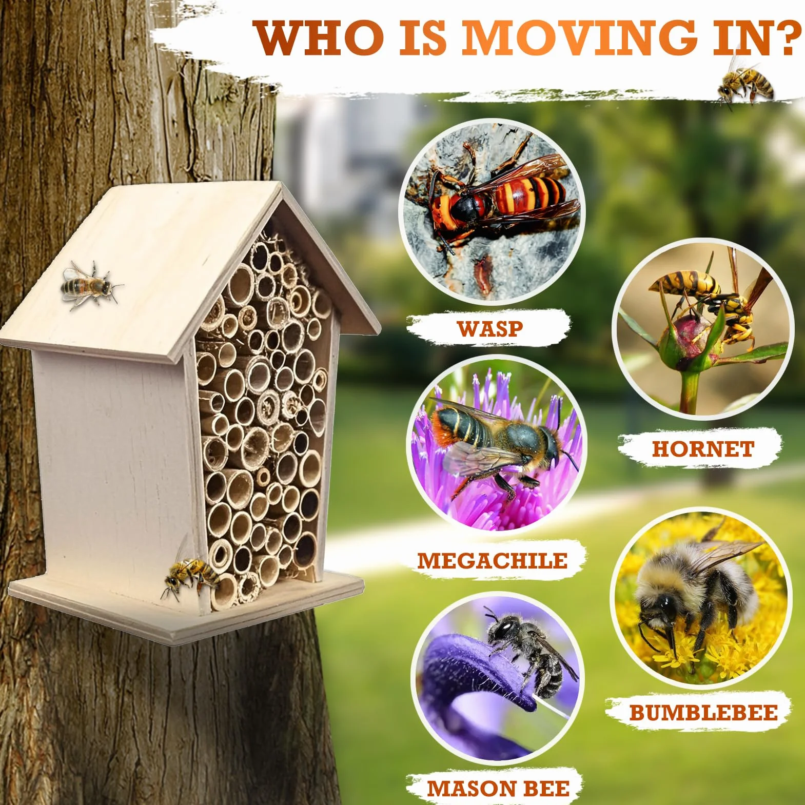 Hotel a Insectes Petite Taille en Bois Résistant aux Intempéries pour Abeilles Mellifères, Sauvages, Bourdons et Coccinelle avec Tubes en Bambou