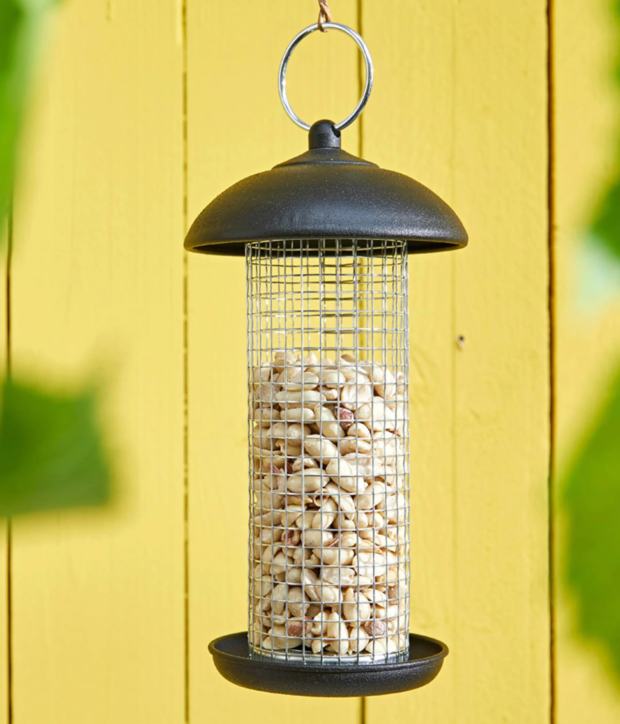 Dehner Natura Premium Nourriture pour Oiseaux Sauvages arachides entières et Semi-entières 10 kg