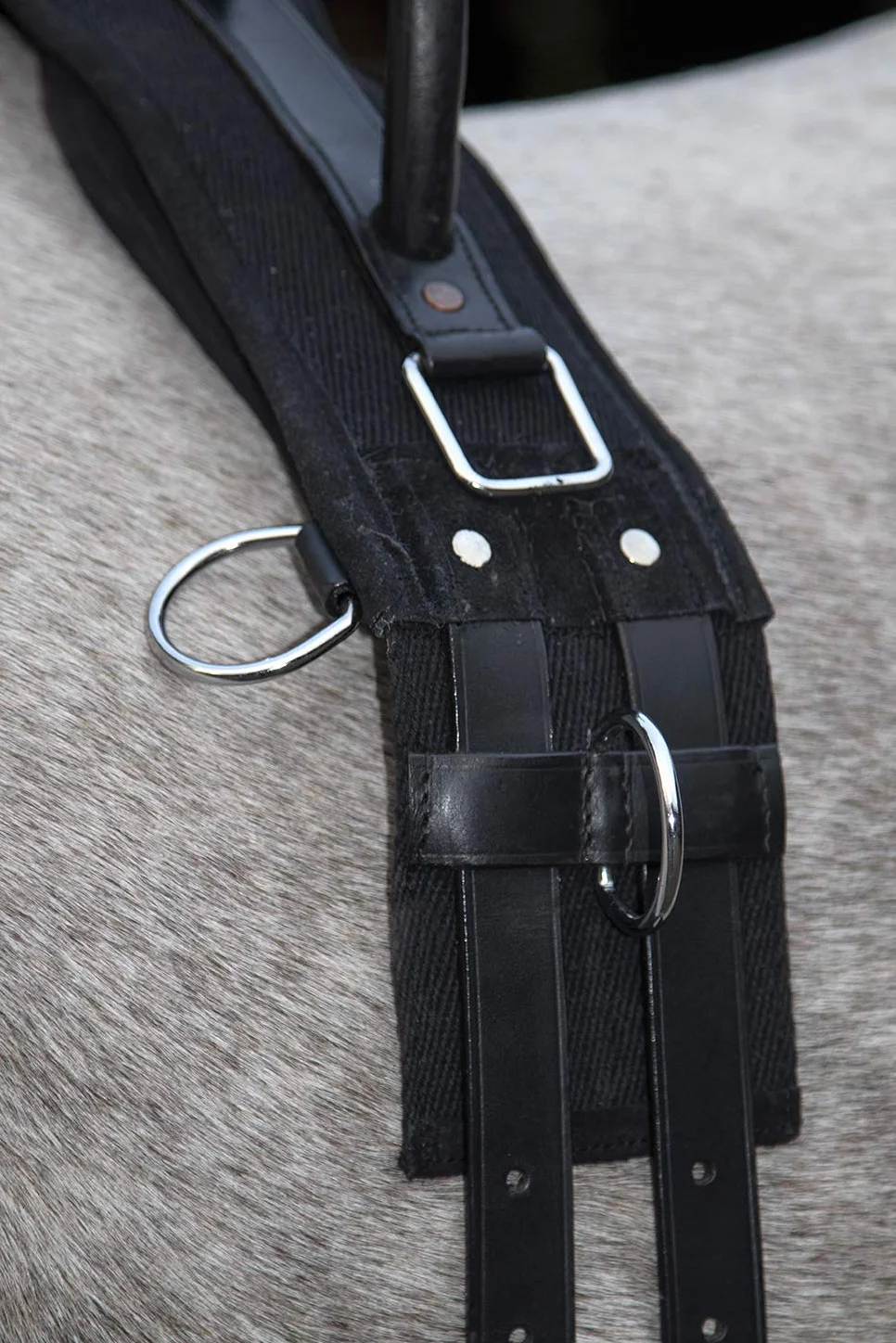 HKM 12701 Sangle de Longe en Toile avec Double poignée Fixe pour Poney Noir