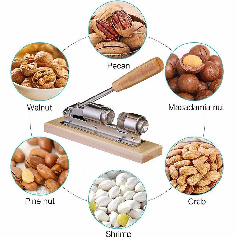 Casse-Noisette Manuel Inoxydable Pince à Châtaignes Ouvre-Écrou Cuisine
