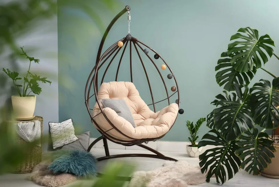 Monstera Deliciosa Plante d’intérieur Dépolluante Hauteur 70-80 cm Pot 21 cm