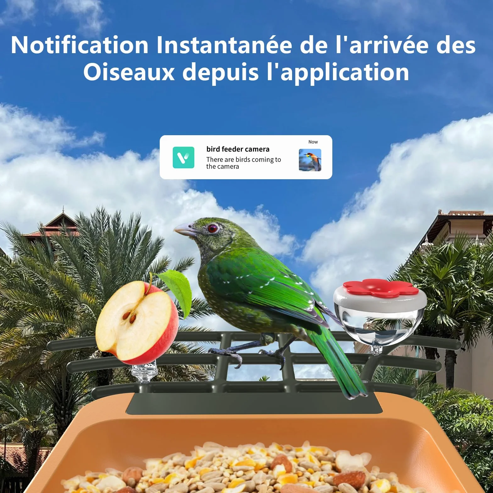 Mangeoire à Oiseaux avec Caméra AI Identification Oiseaux Vision Nocturne HD 2K IP65 Etanche Panneau Solaire