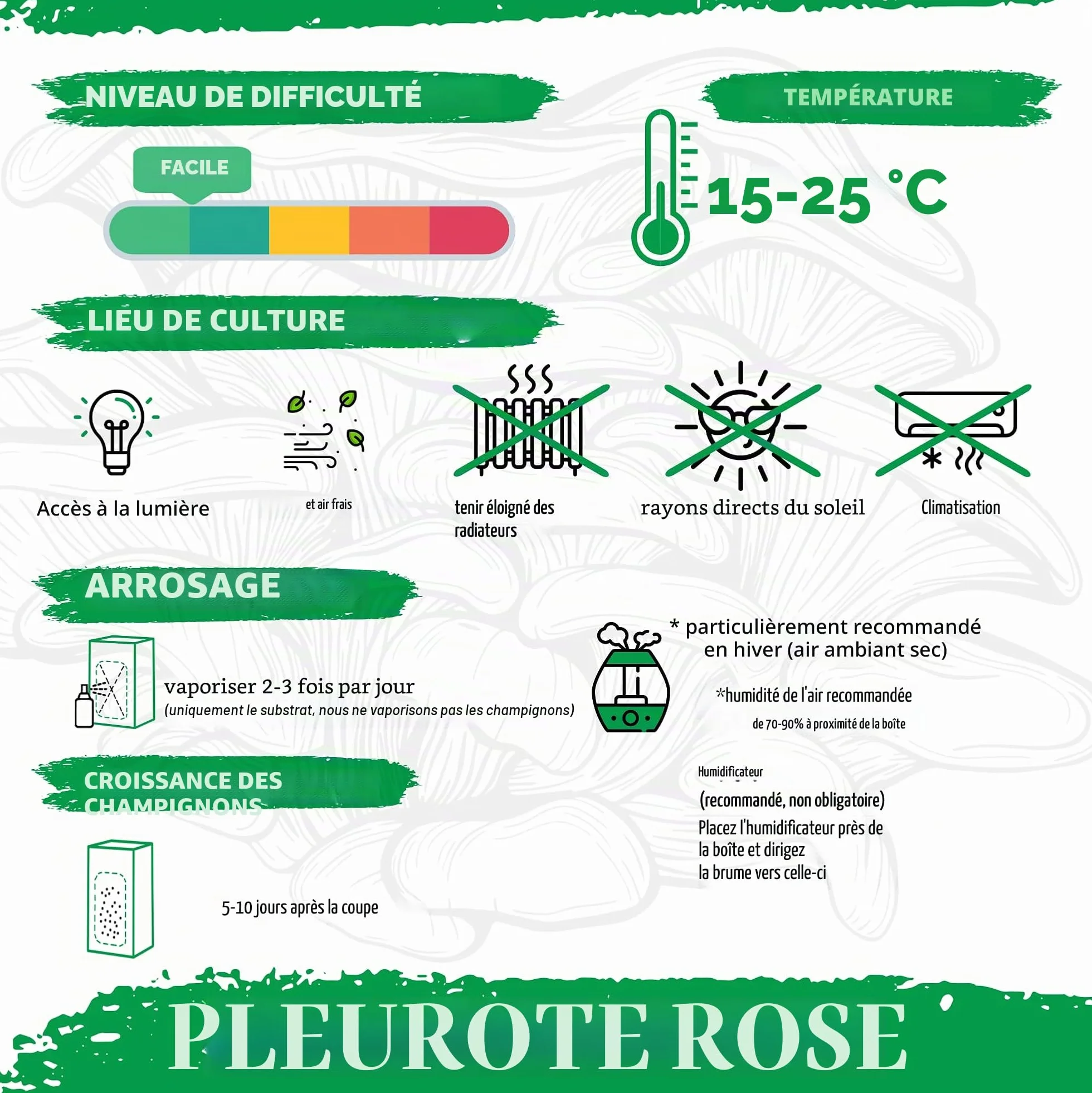 Kit Bio Culture Champignons Set Biologique Intérieur Toute l’Année Sans OGM