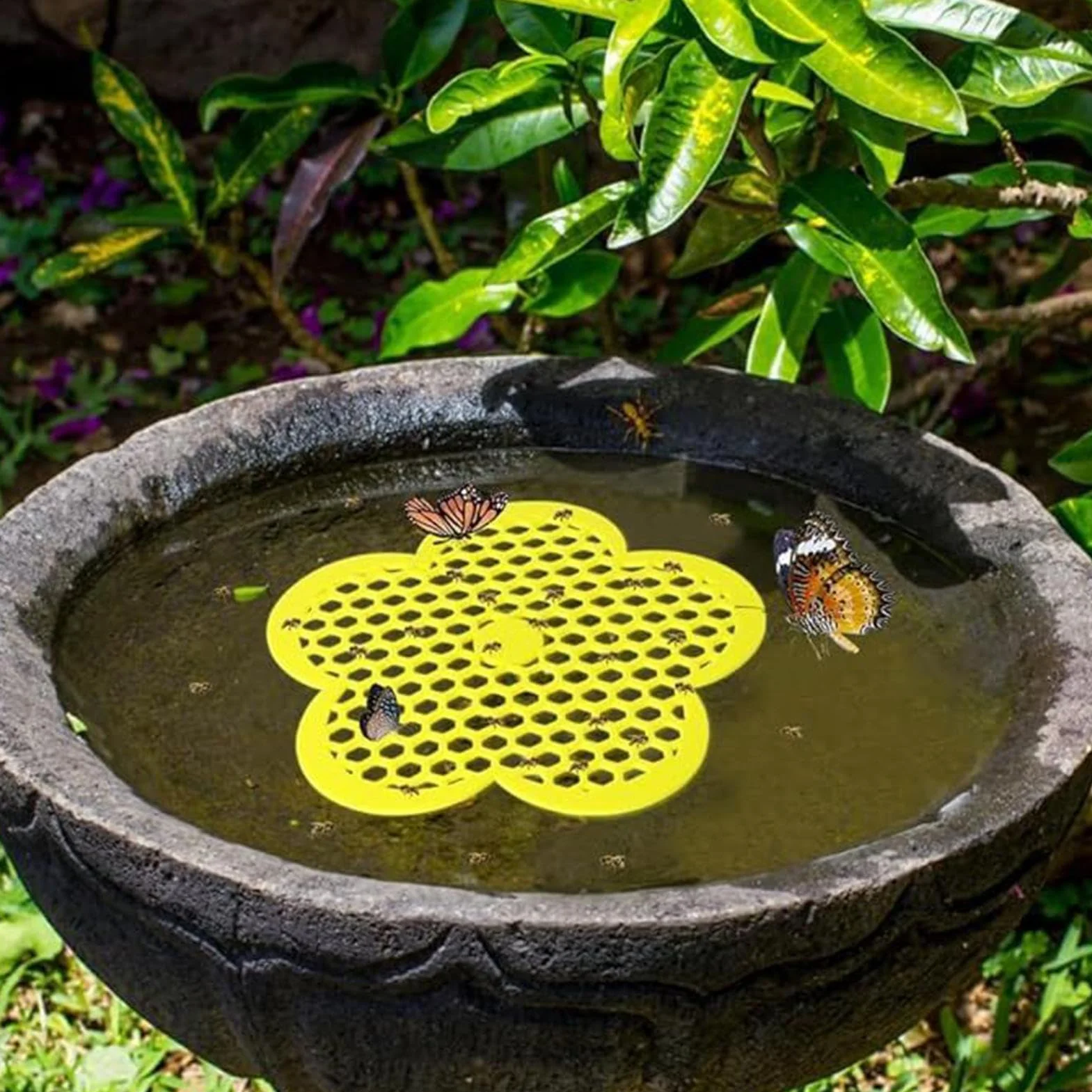 Île Flottante Aux Abeilles Distributeur d'eau Plateau Station Abreuvement Abeilles Plateau Flottant Nid d'abeille Abreuvoir Extérieur Insectes
