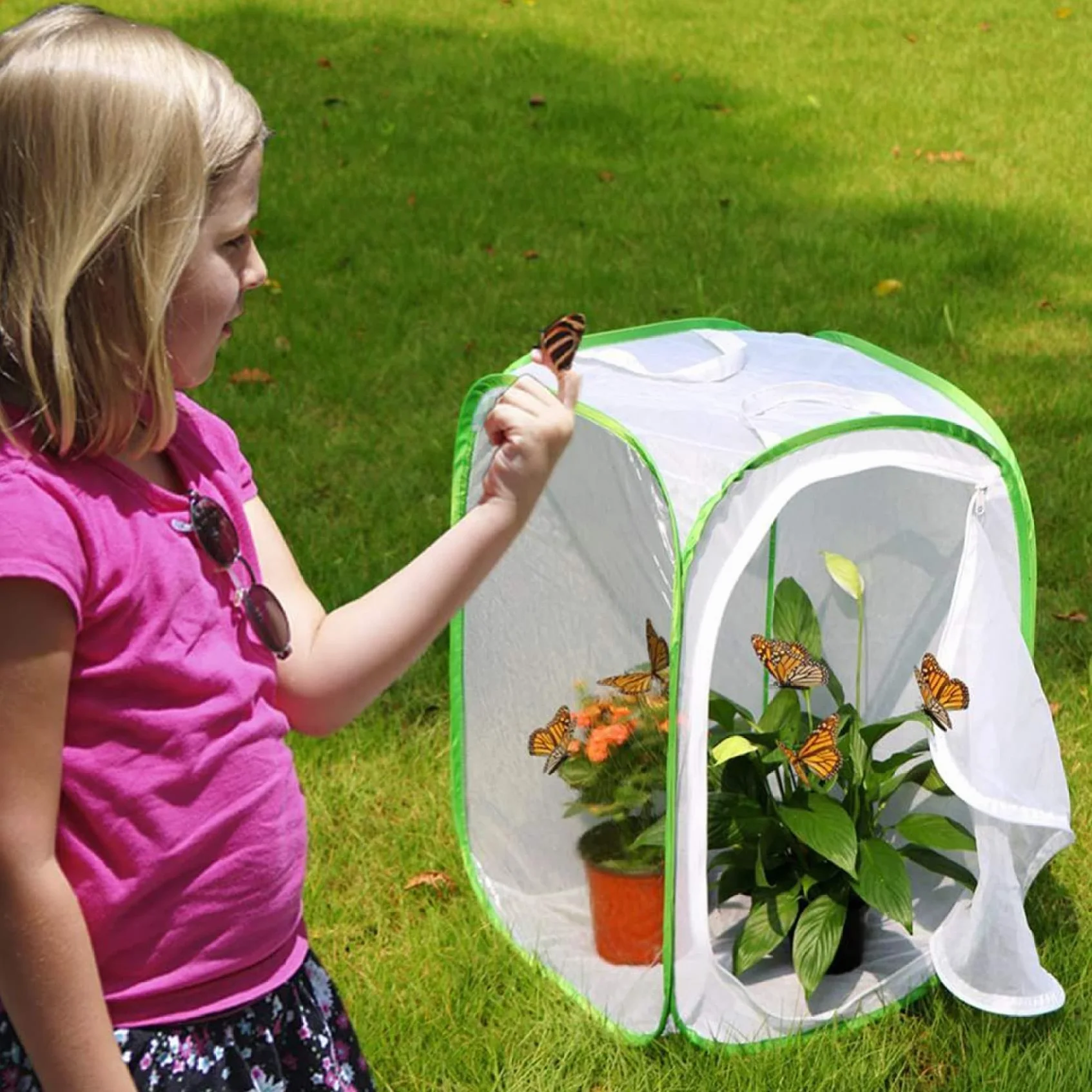 Cage en Maille Papillon 40x40x60cm Filet d'élevage Pliante pour Enfant