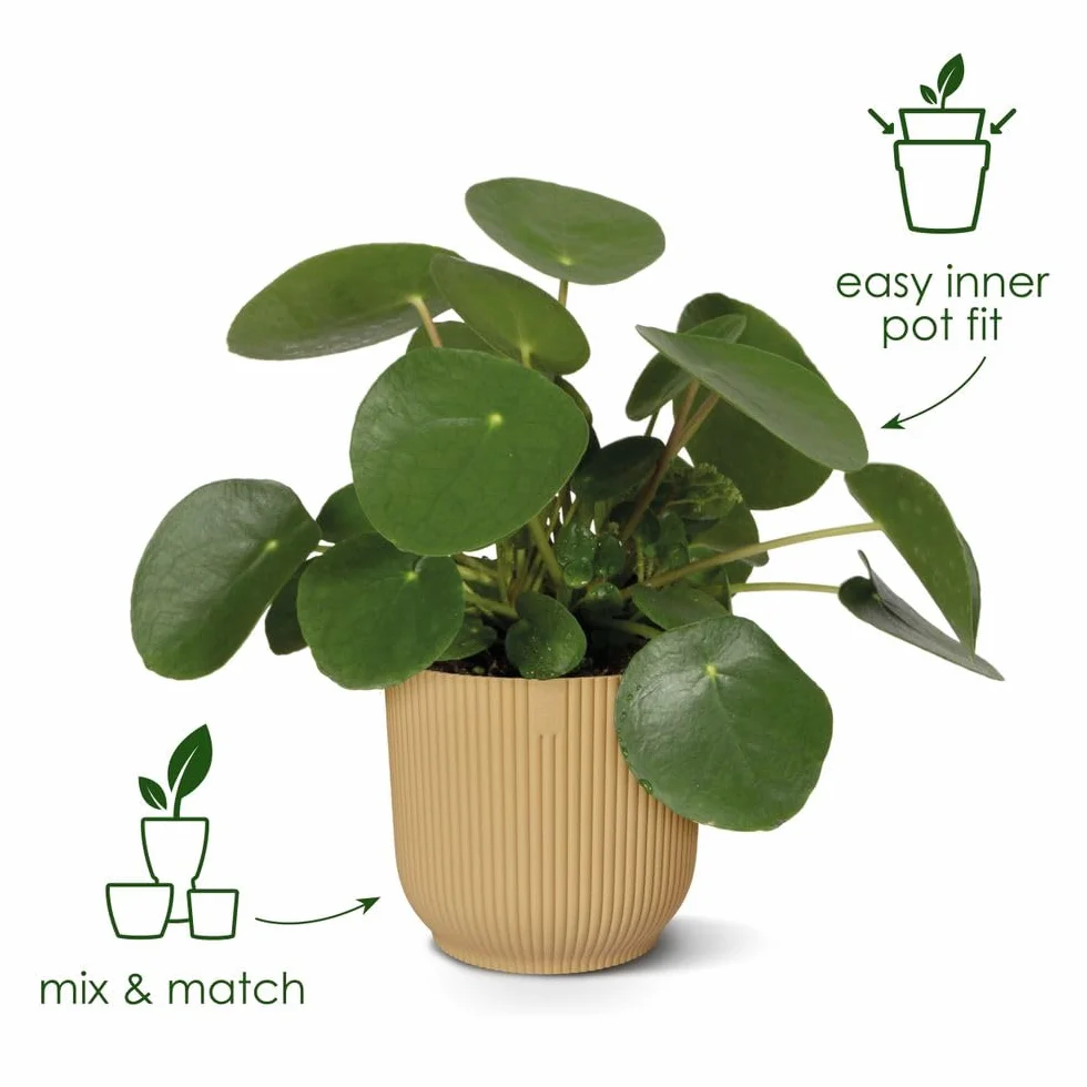 Elho Vibes Fold Rond 14 Pot De Fleurs Intérieur Plastique Recyclé Ø 14.1 x H 12.9 cm Blanc Linen White