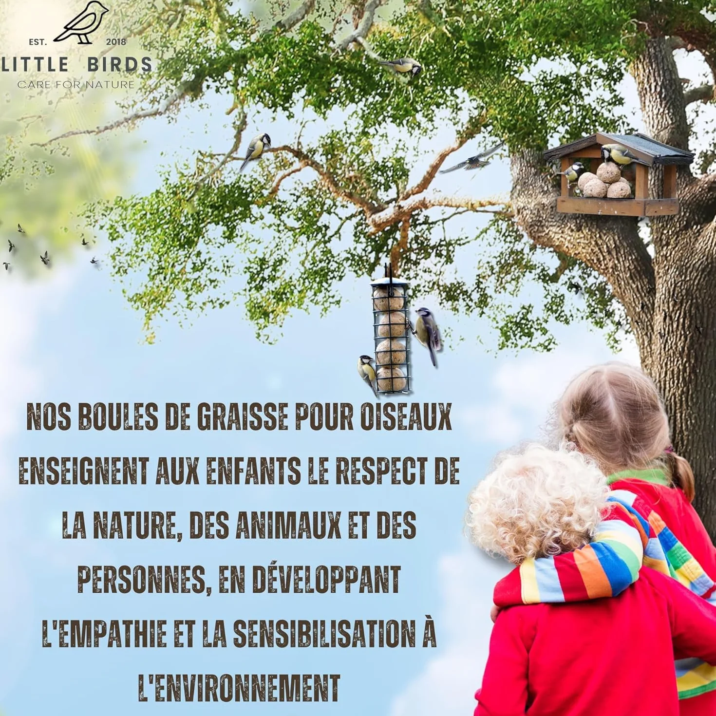 Care4Nature 60 Boules de Graisse Oiseaux du Jardin avec Mangeoire - Ingrédients Naturels