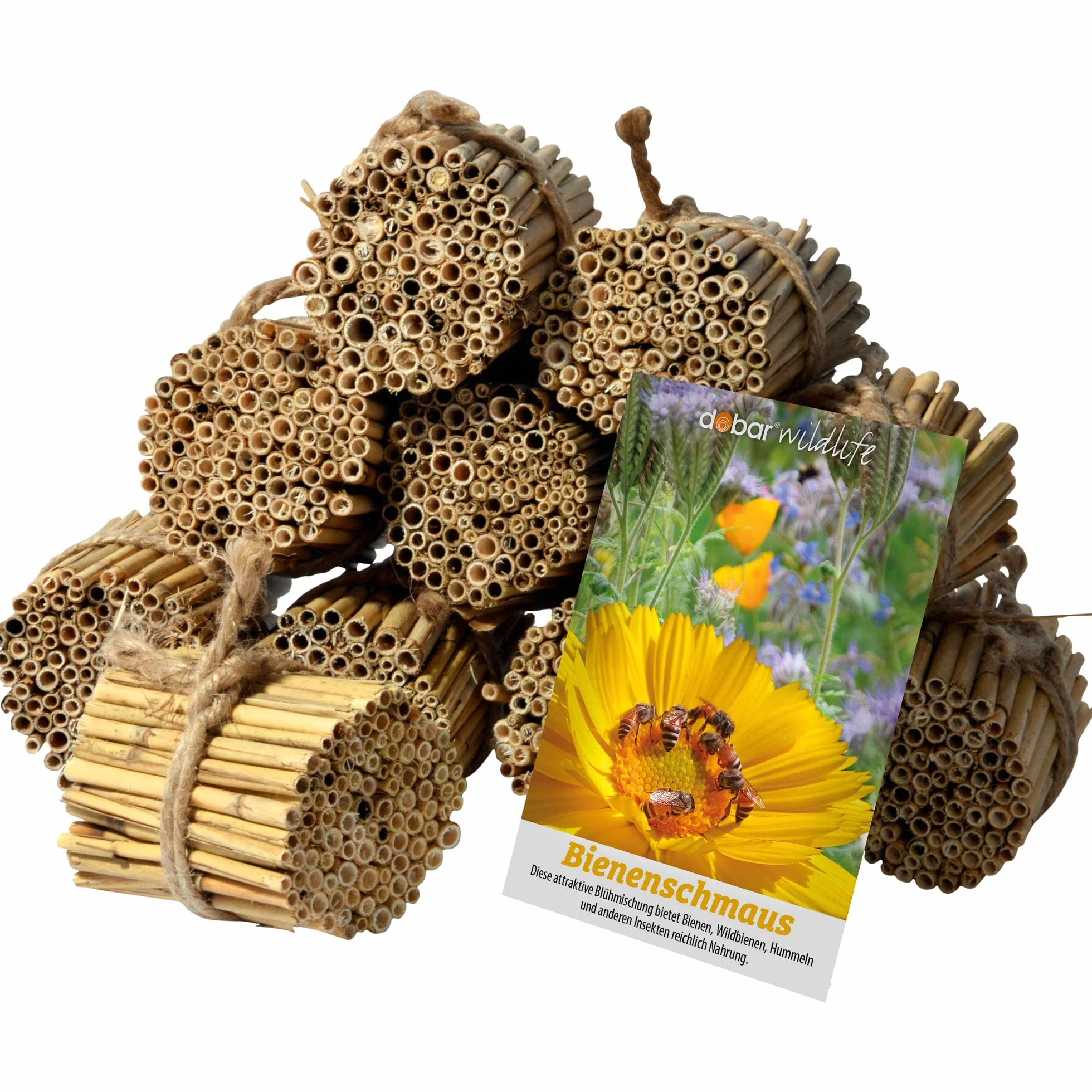 Luxus-Insektenhotels 22690e Lot 10 fagots roseaux 1000 tiges Longueur 9 cm Sachet graines Paradis Abeilles 35 variétés Fleurs