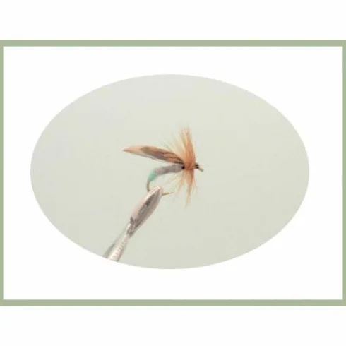 Mouche à Truite Sedge, Lot de 36, 12 Modèles, Taille 10/12, Mouche Sèche pour la Pêche SF5Y