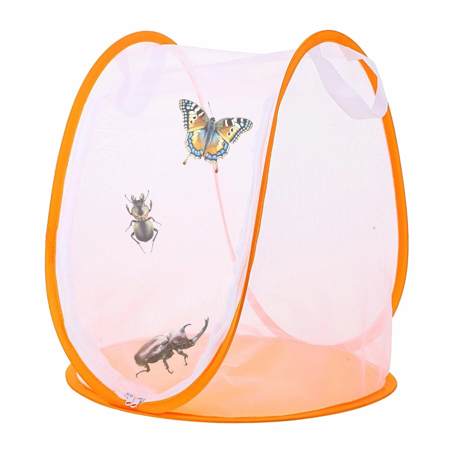 Habitat Chenilles Terrarium Portable Maille Cage Papillon Intérieur Extérieur Jardin