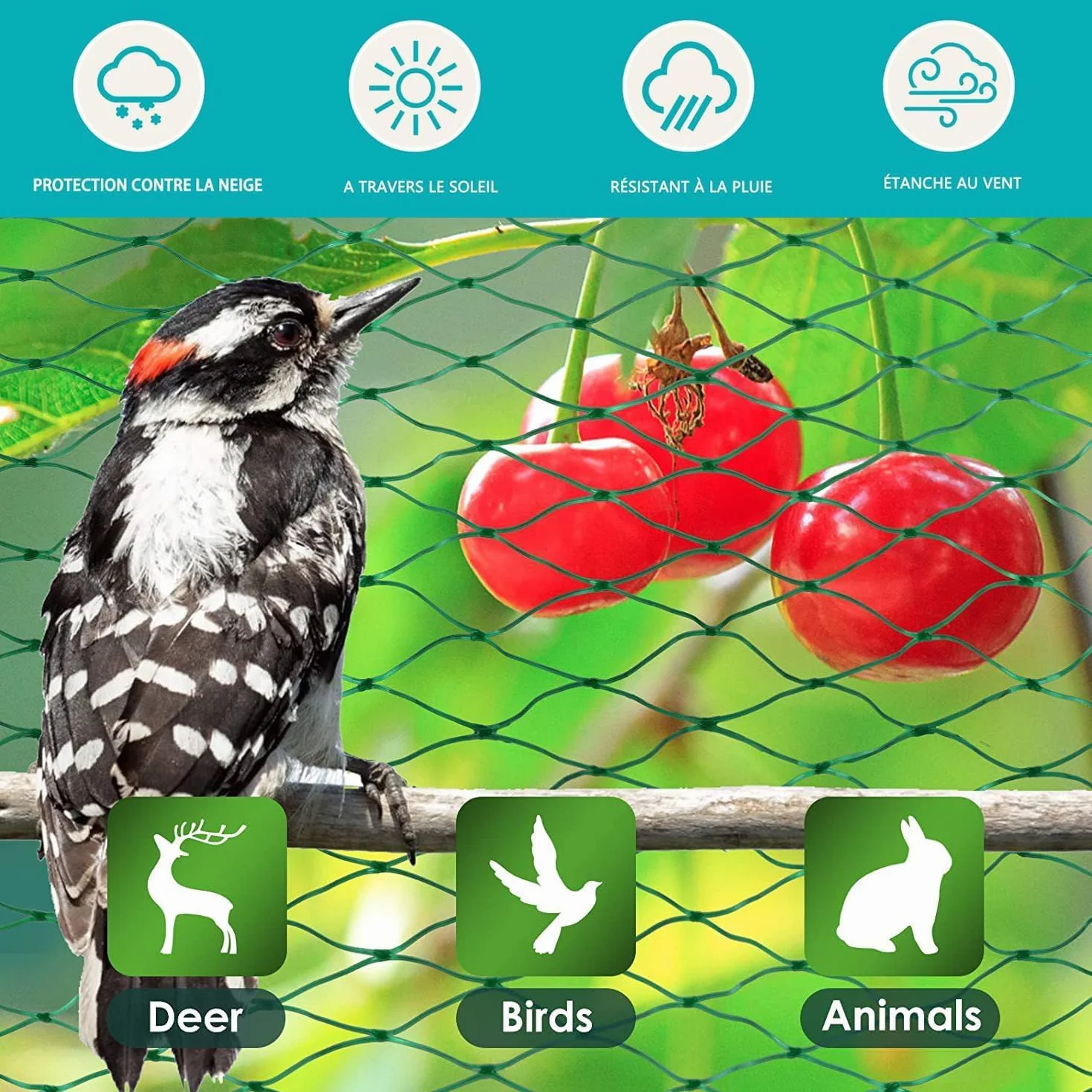 Filet de protection contre les oiseaux 4 x 6 m - Maille fine 17 x 17 mm - Vert - 20 g/m²