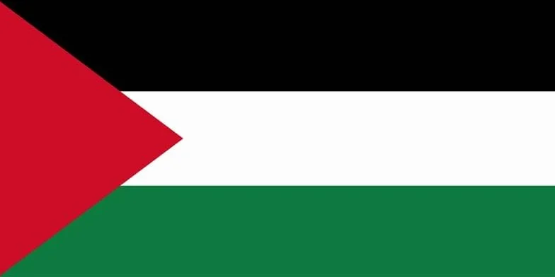 Autocollant drapeau Palestine 8 x 5 cm sticker drapeau drapeau