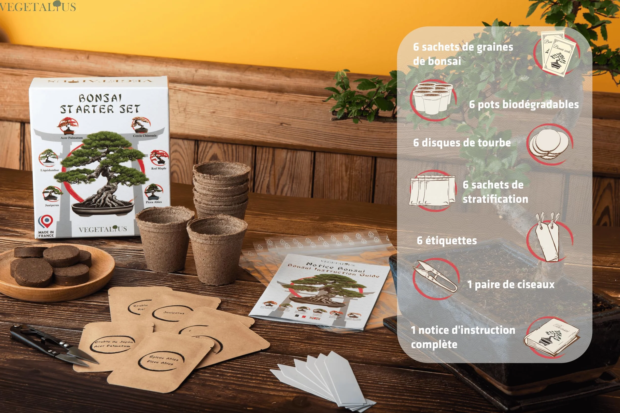 Kit complet de 6 Bonsai avec graines et accessoires Fabriqué en France Coffret cadeau original
