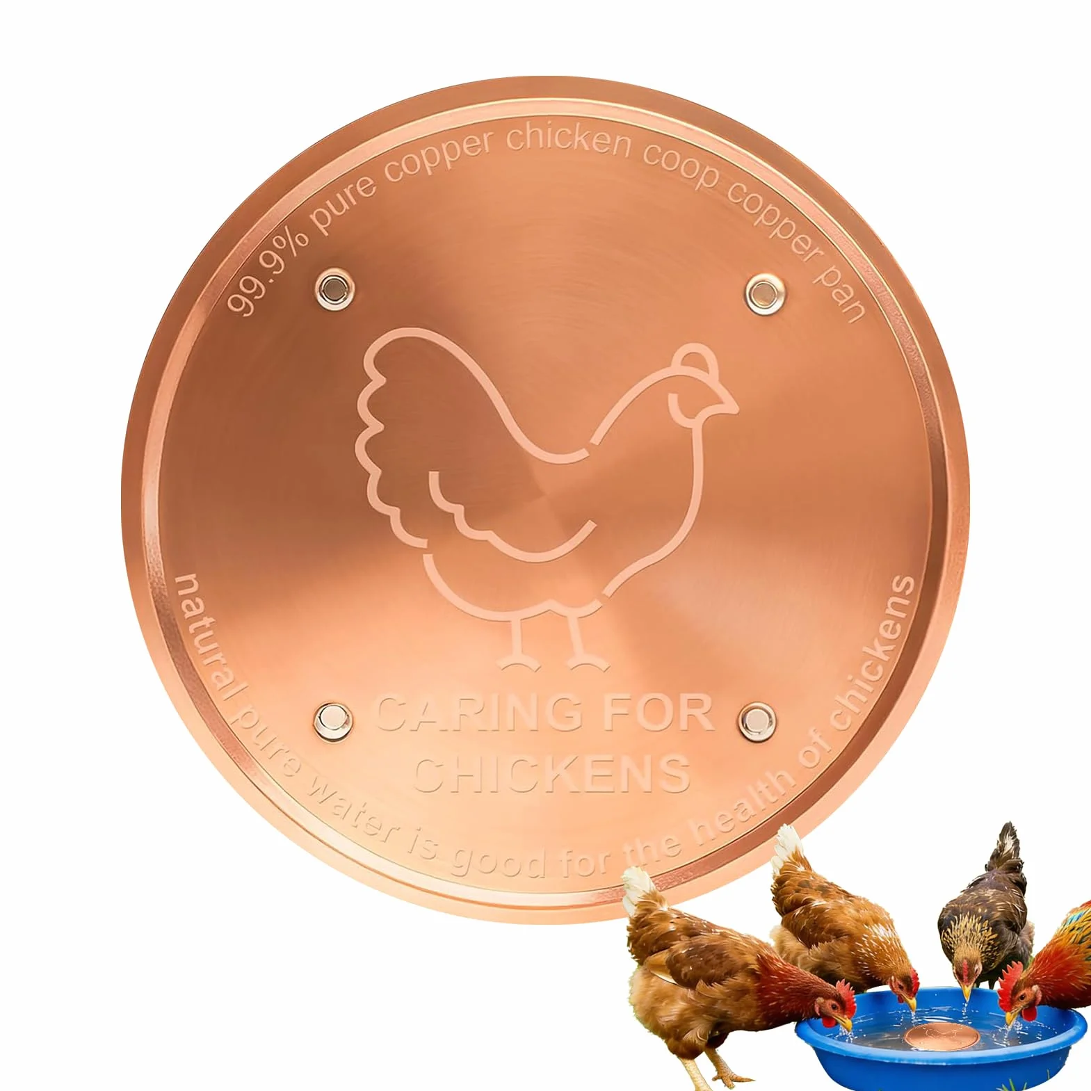 Disque pour Bain d'oiseaux 10 cm Purification d'eau Nettoyage Métal Bol Élevage Volaille