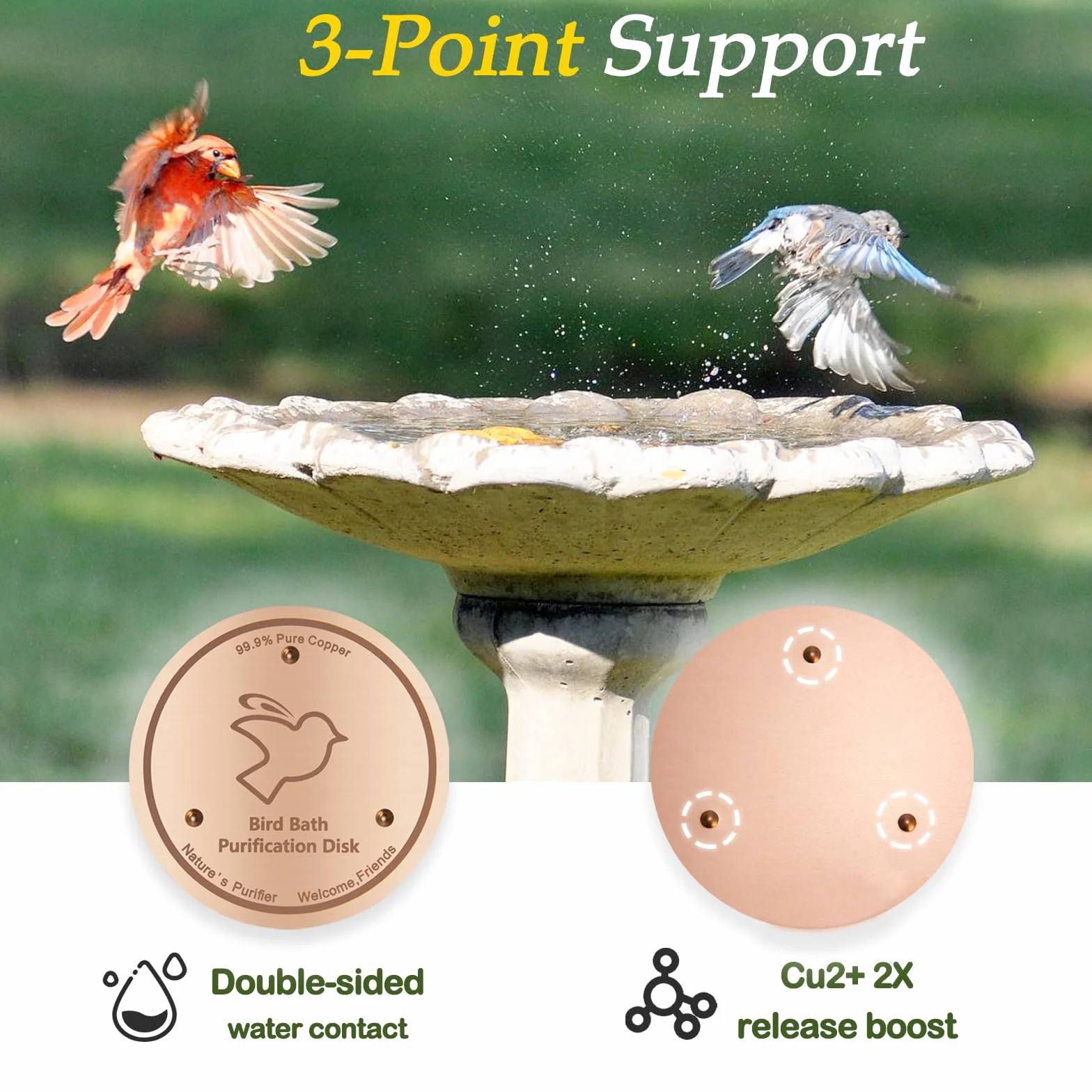 Disque de purification en cuivre 99,9% pur 0,6 mm épaisseur autonettoyant pour bain d'oiseaux