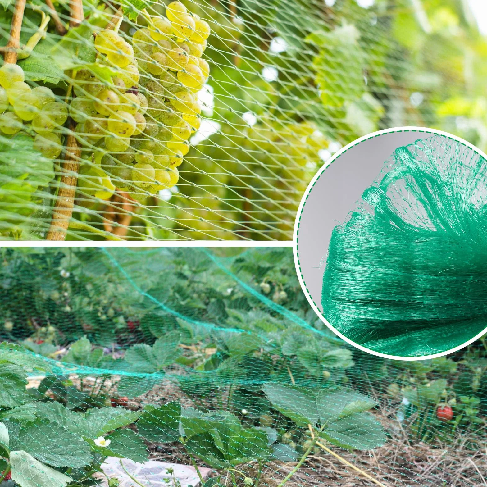 Filet Anti Oiseaux 4x20M Protection Potager Arbres Fruitiers