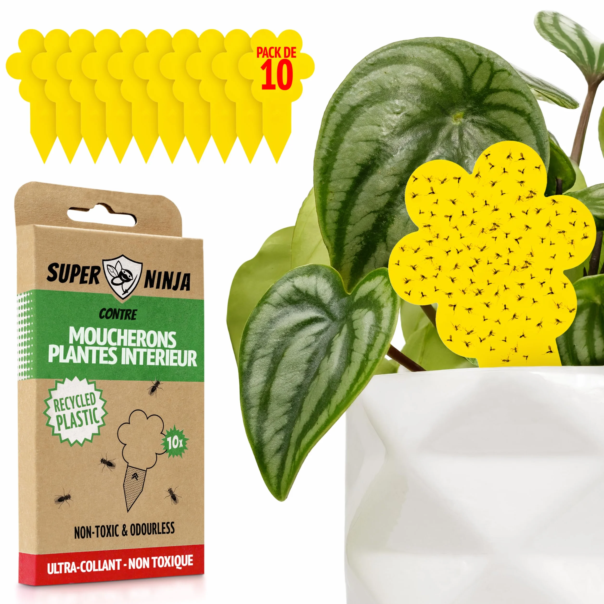 Anti Moucherons Intérieur Plantes, 10 Pièges Jaunes Collants Non Toxiques, Piège Moucherons Ultra Efficace