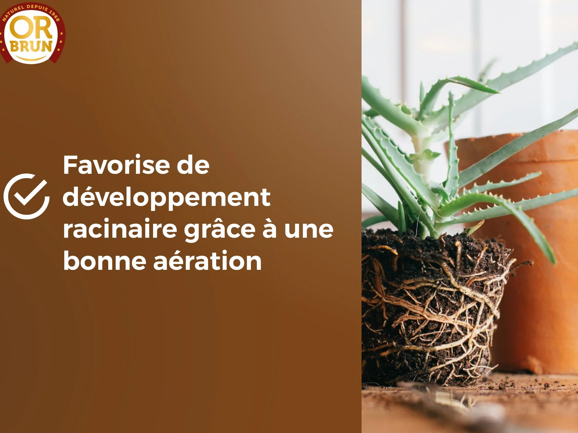 Or Brun Terreau Rempotage Universel 6L pour Plantes en Pots