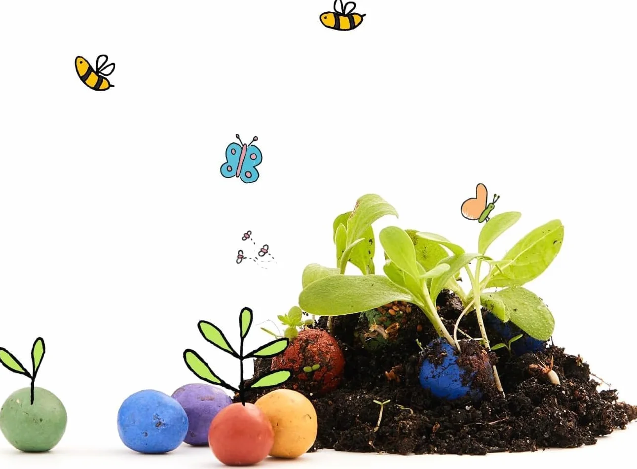Bombes à graines colorées faites main 25 pièces 20 variétés de fleurs
