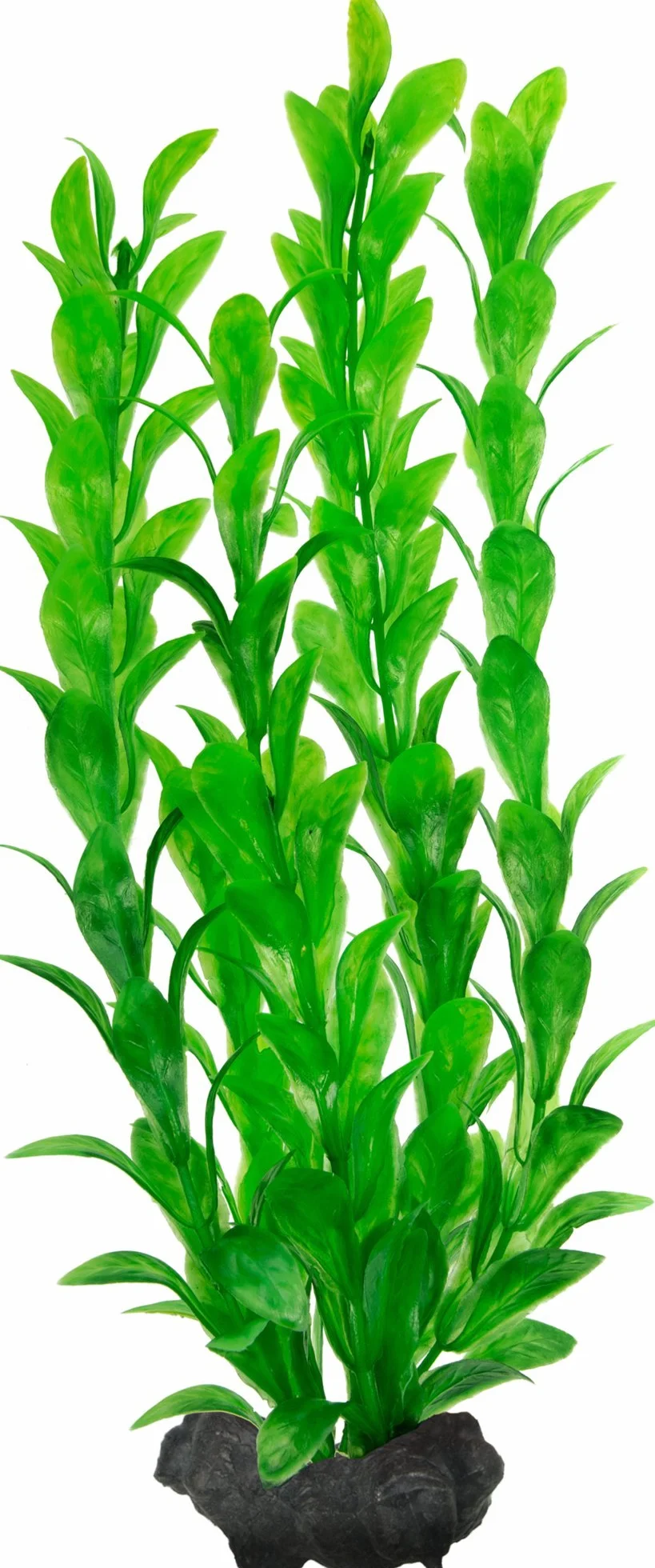 Tetra DecoArt Plantes Artificielles Aquatiques pour Aquarium Réplique réaliste Hygrophila Vert