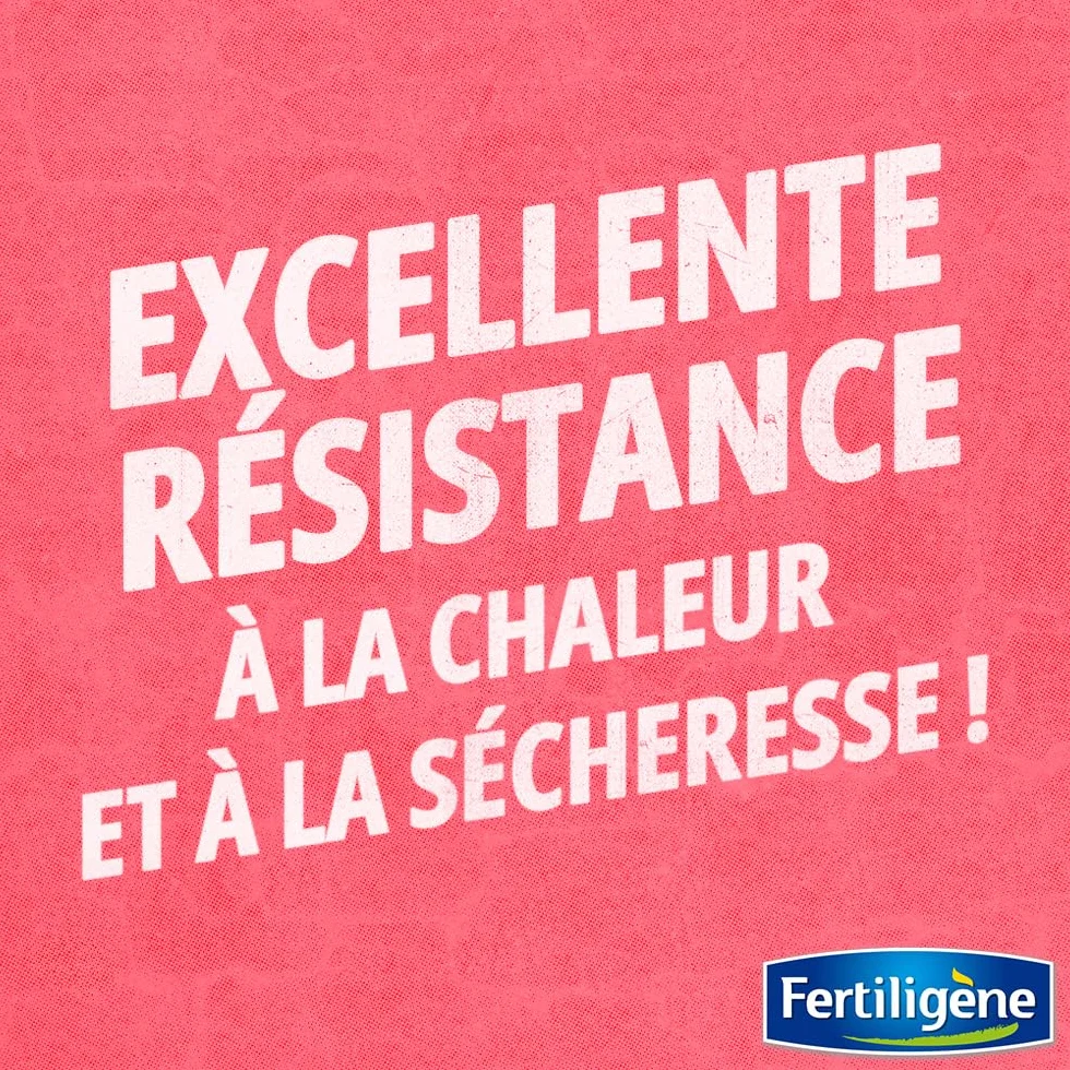 FERTILIGÈNE Semences Gazon Terrain Sec Ensoleillé 875g Haute Résistance Sécheresse Chaleur Moins Arrosage 35 m²