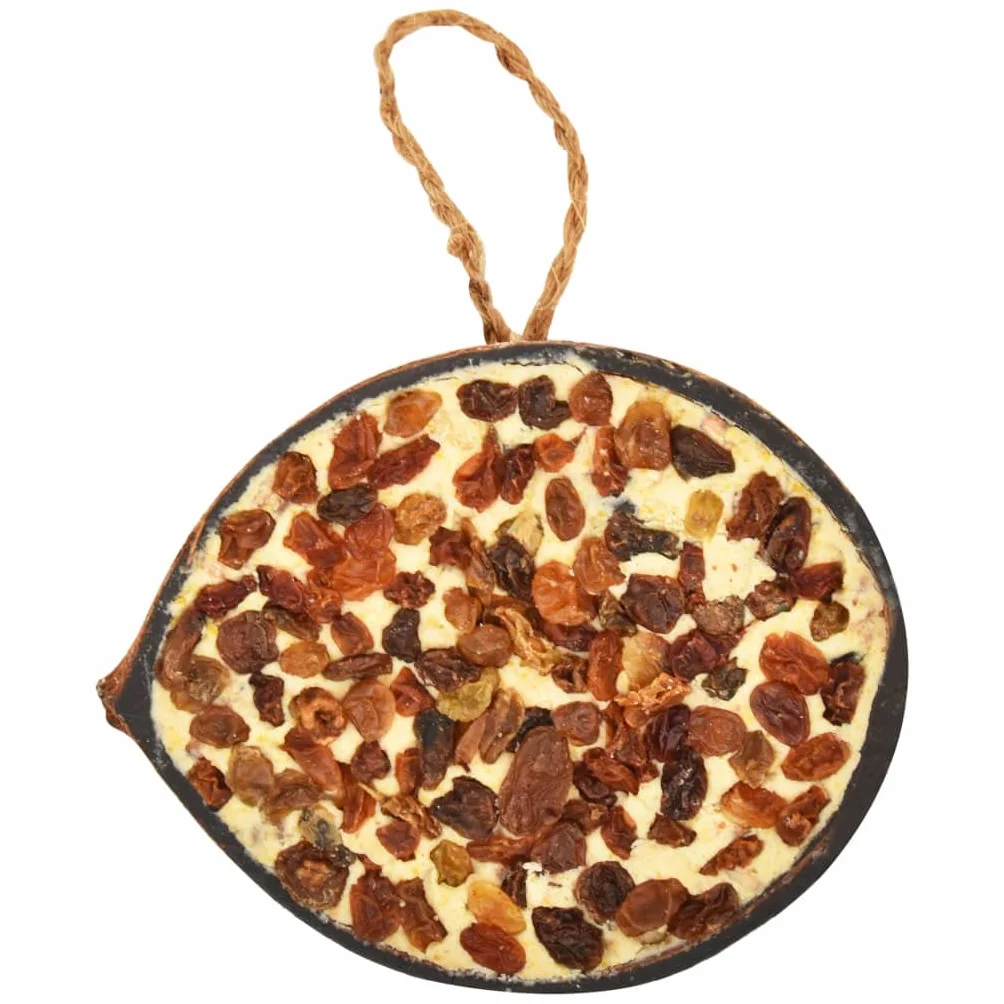 vidaXL 10x Moitiés de Noix de Coco pour Oiseaux 290 g