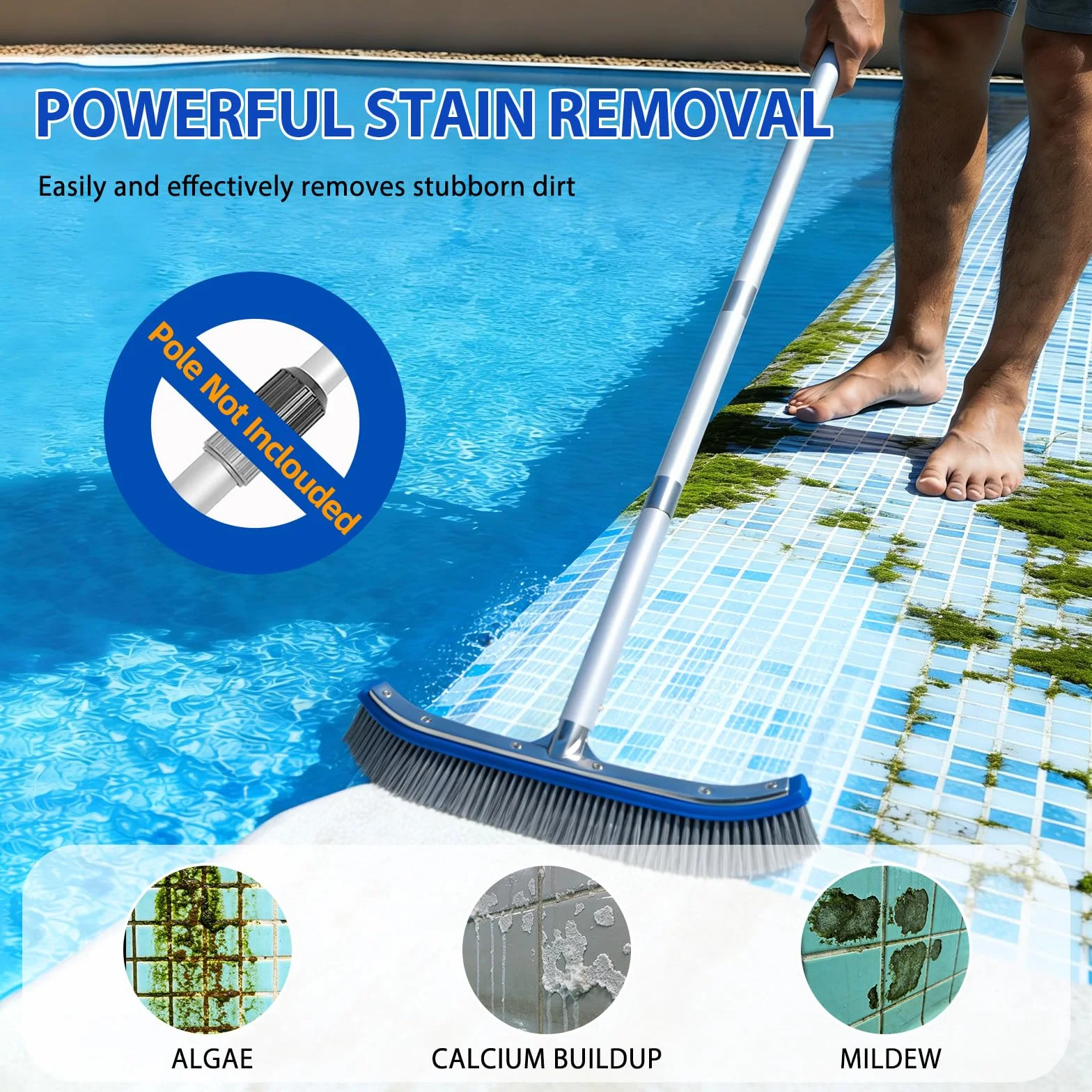 Brosse Piscine 18 Pouces (45,7 cm) Acier Nylon Dos Aluminium Clip EZ pour Fond Parois Piscine Enterrée