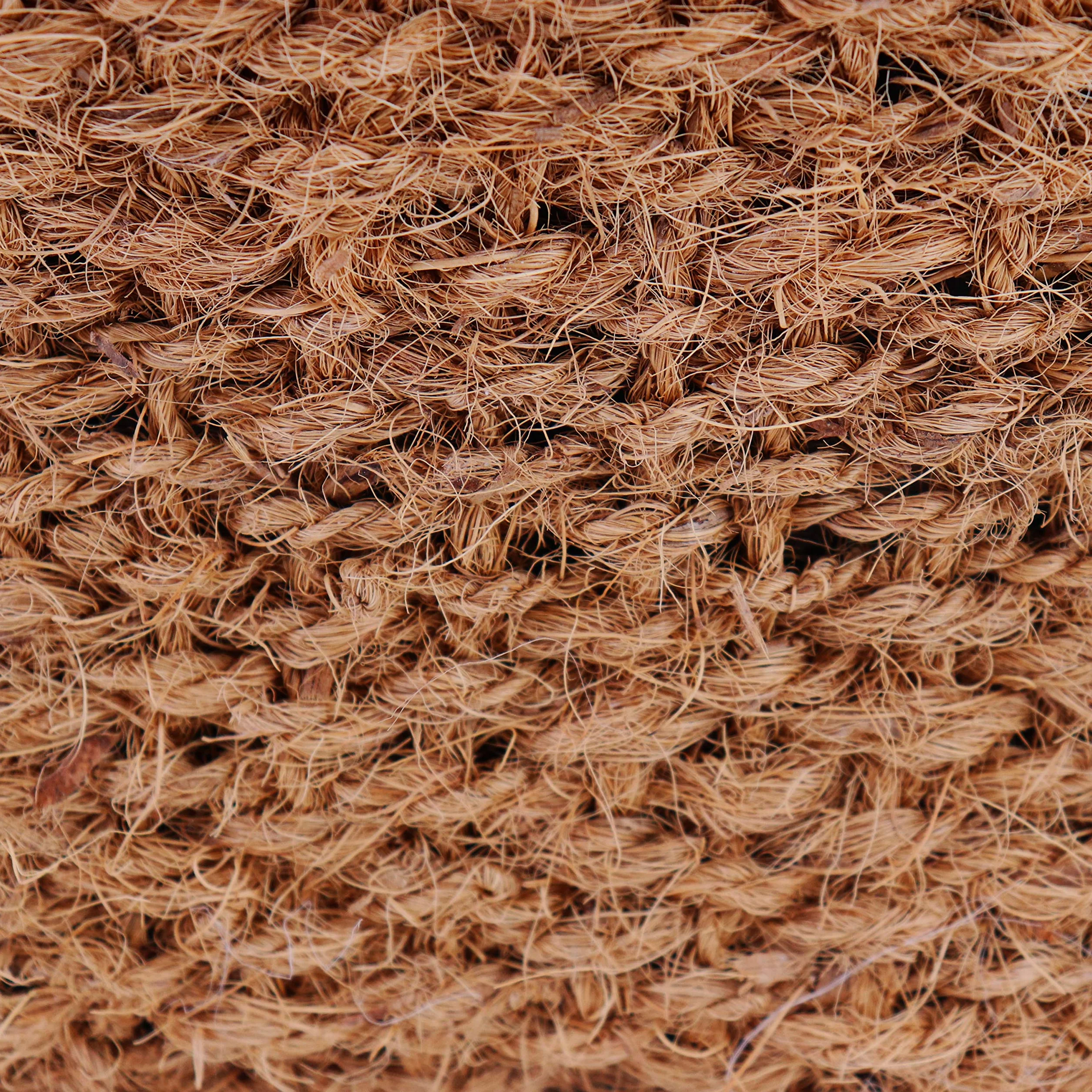 Panier de Noix de Coco 20 x 20 x 15 cm pour Étang Tapis de Rivage et Talus