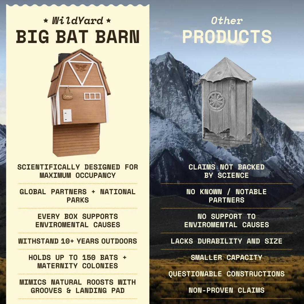 Big Bat Barn Bat House pour l'extérieur - Cage Chauve-Souris sans Vernis