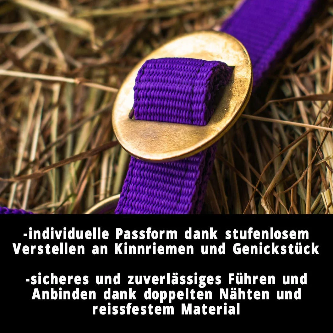 Licol pour cheval sang chaud, pur-sang, sang froid – licol d'écurie, licol de pâturage, réglable en 2 positions sur la mentonnière et la nuquière, sûr et résistant à la déchirure (Violet, Shetland
