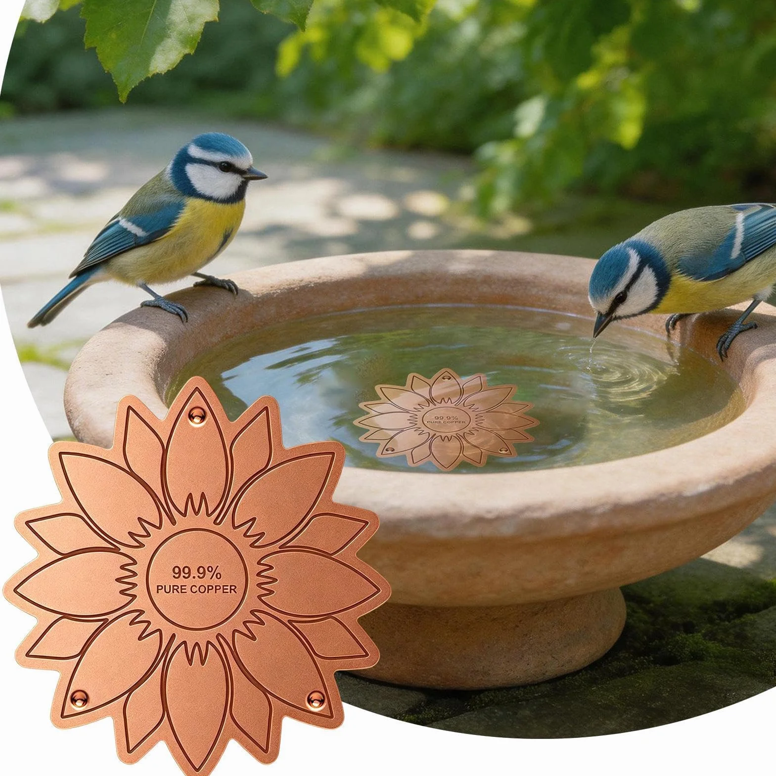 Disque Purification Bain Oiseaux en Cuivre pour Bassin - Accessoire Jardin Nettoyant pour Fontaine Extérieure
