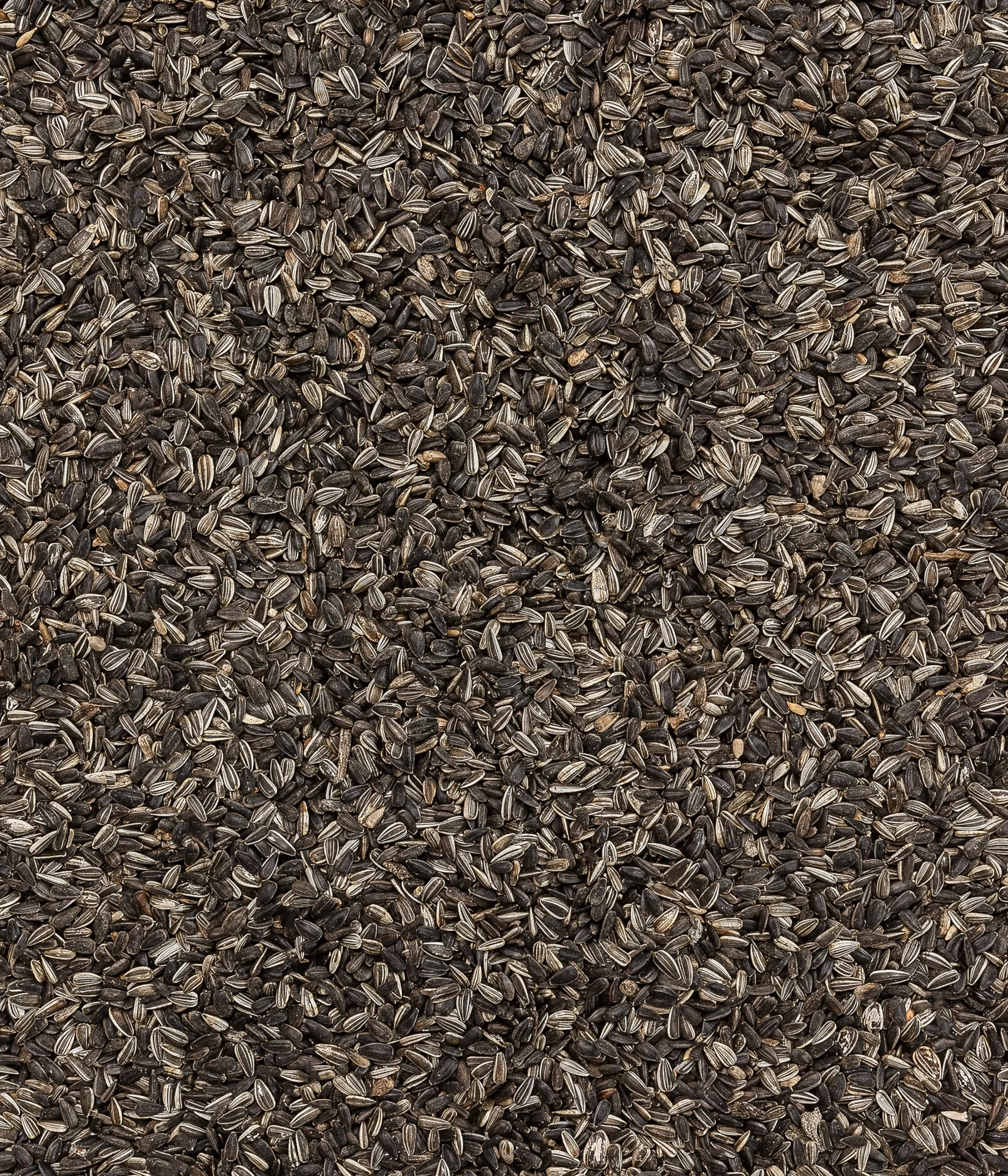 Dehner Natura Premium Nourriture pour Oiseaux Sauvages Graines de Tournesol 5 kg