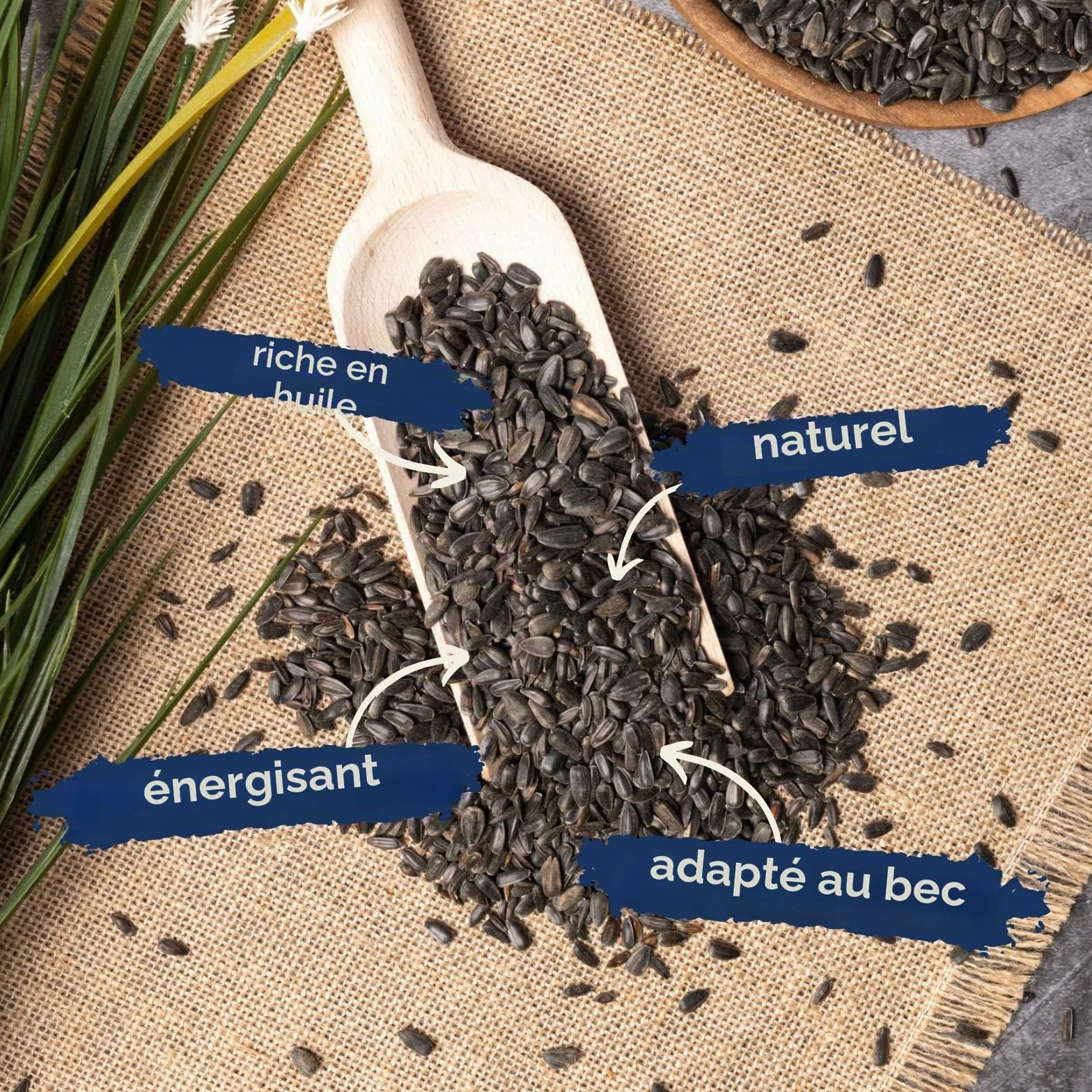 Graines de Tournesol Noir 25 kg Lyra Pet® Nourriture Oiseaux Sauvages Haute Teneur en Huile