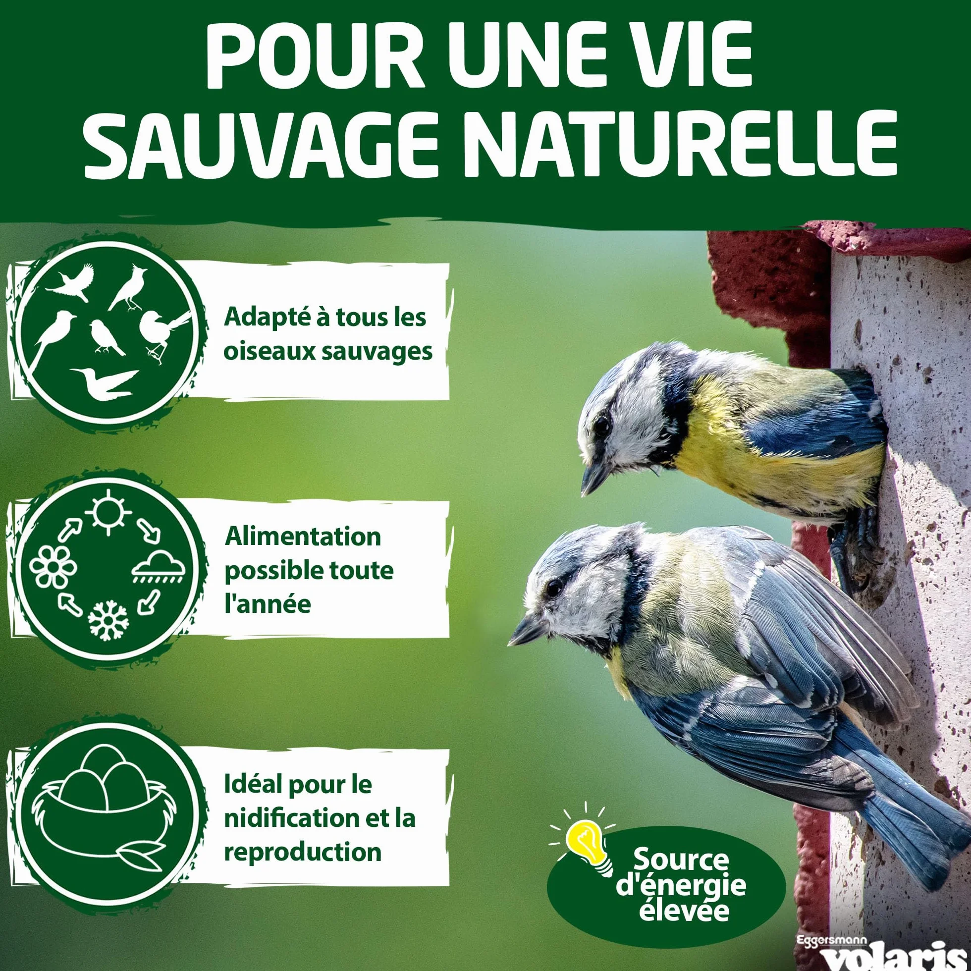 Eggersmann Volaris Lot de 100 boules de graisse sans filet 9 kg Nourriture pour oiseaux sauvages