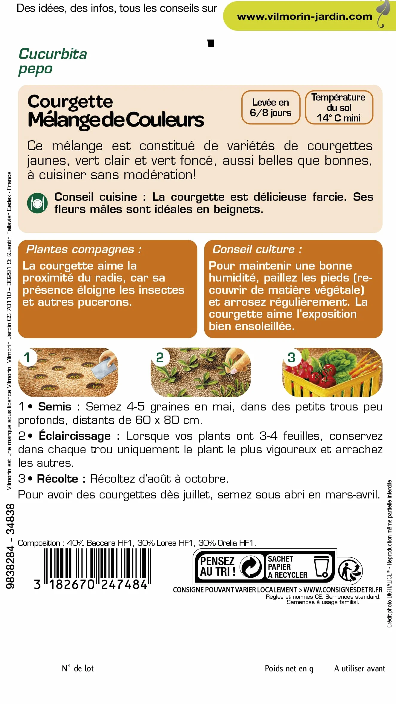 VILMORIN COURGETTE MÉLANGE DE COULEURS