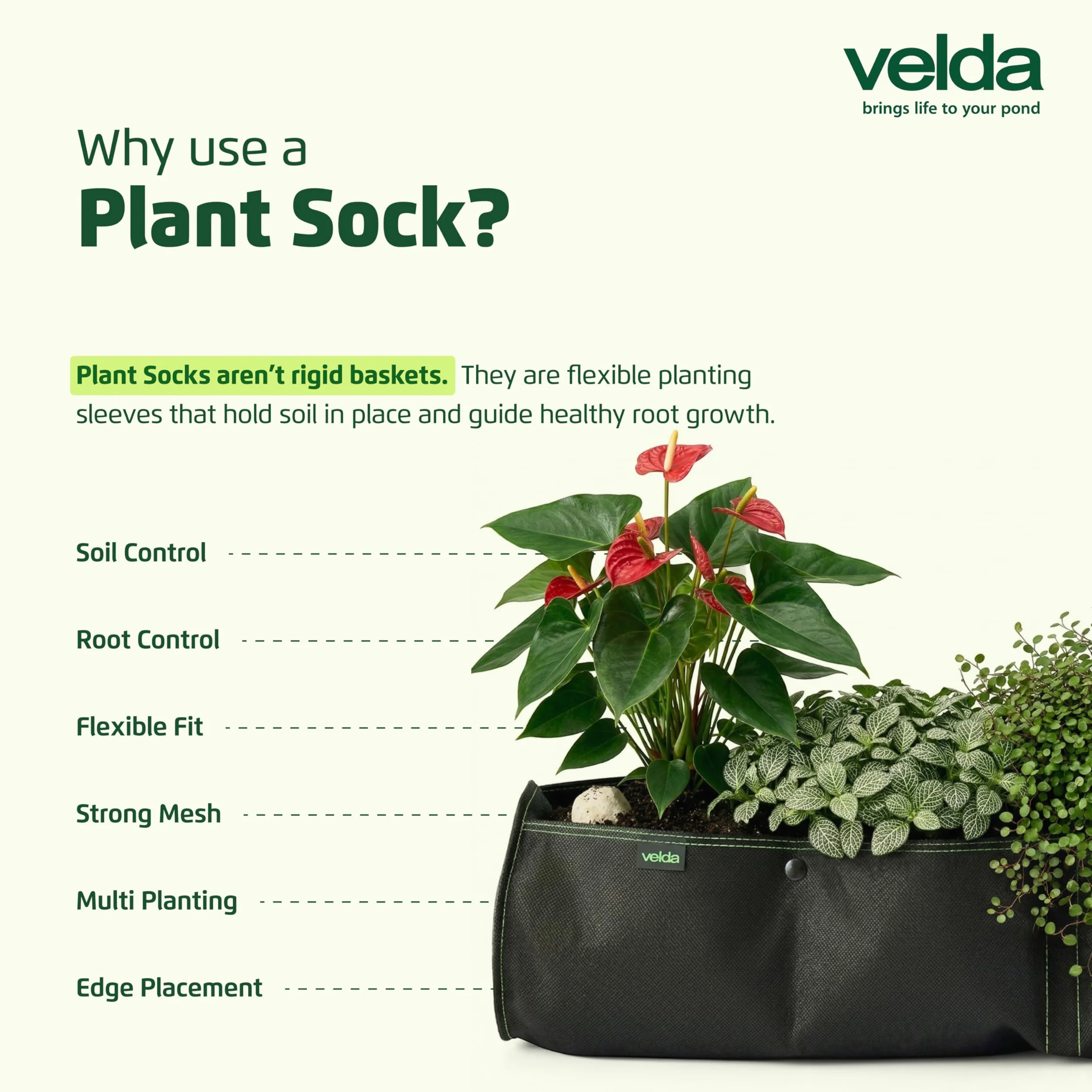 Velda Plant Sock housse de culture pour bassin d'agrément 10 x 80 cm