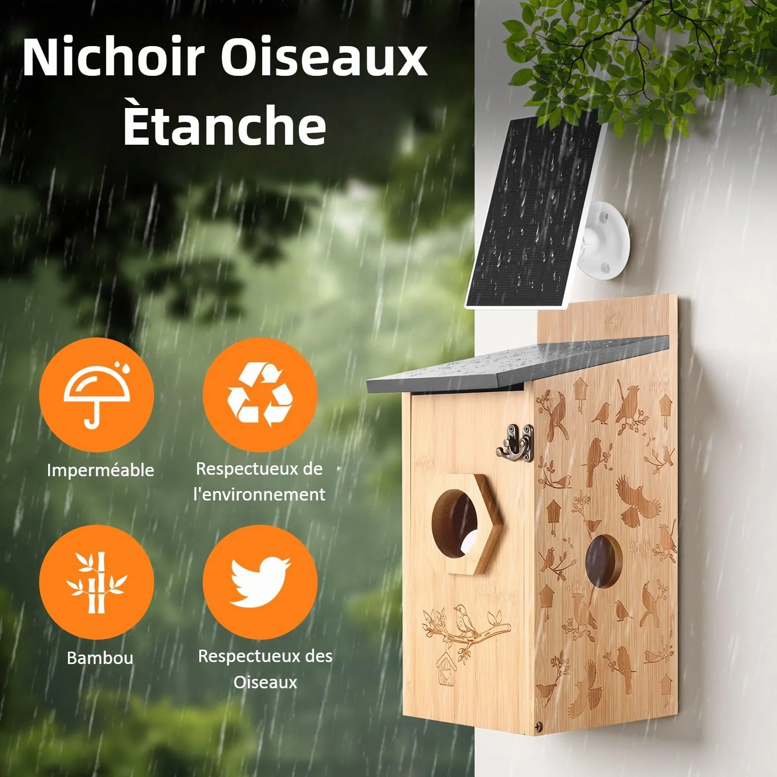 Nichoir Mésange avec Caméra 5MP Solaire WiFi 2,4G, Détection de Mouvement, Vision Nocturne
