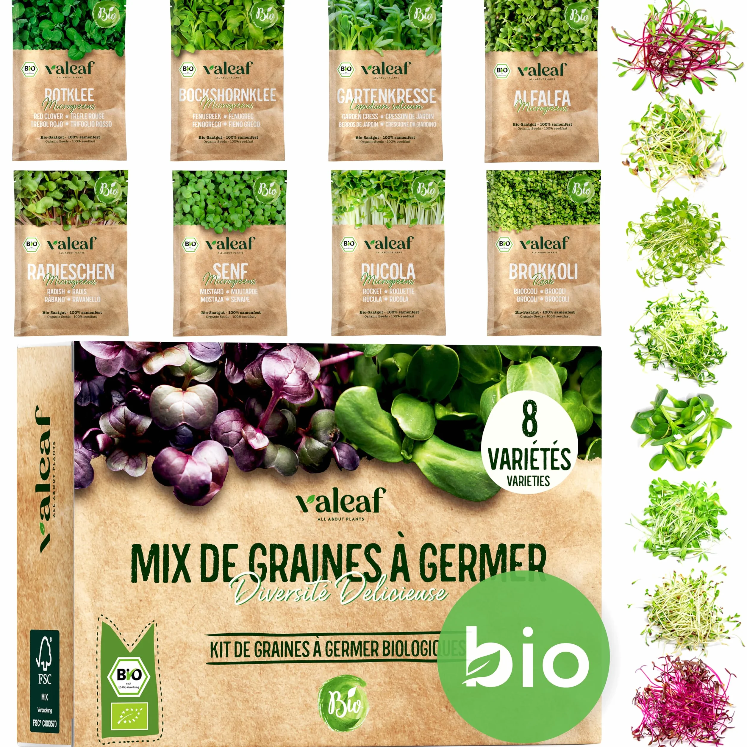 Valeaf Kit de Grains de Microgreens Assortiment de Semences Prêt à Pousser 8 Variétés de Pousses Germées