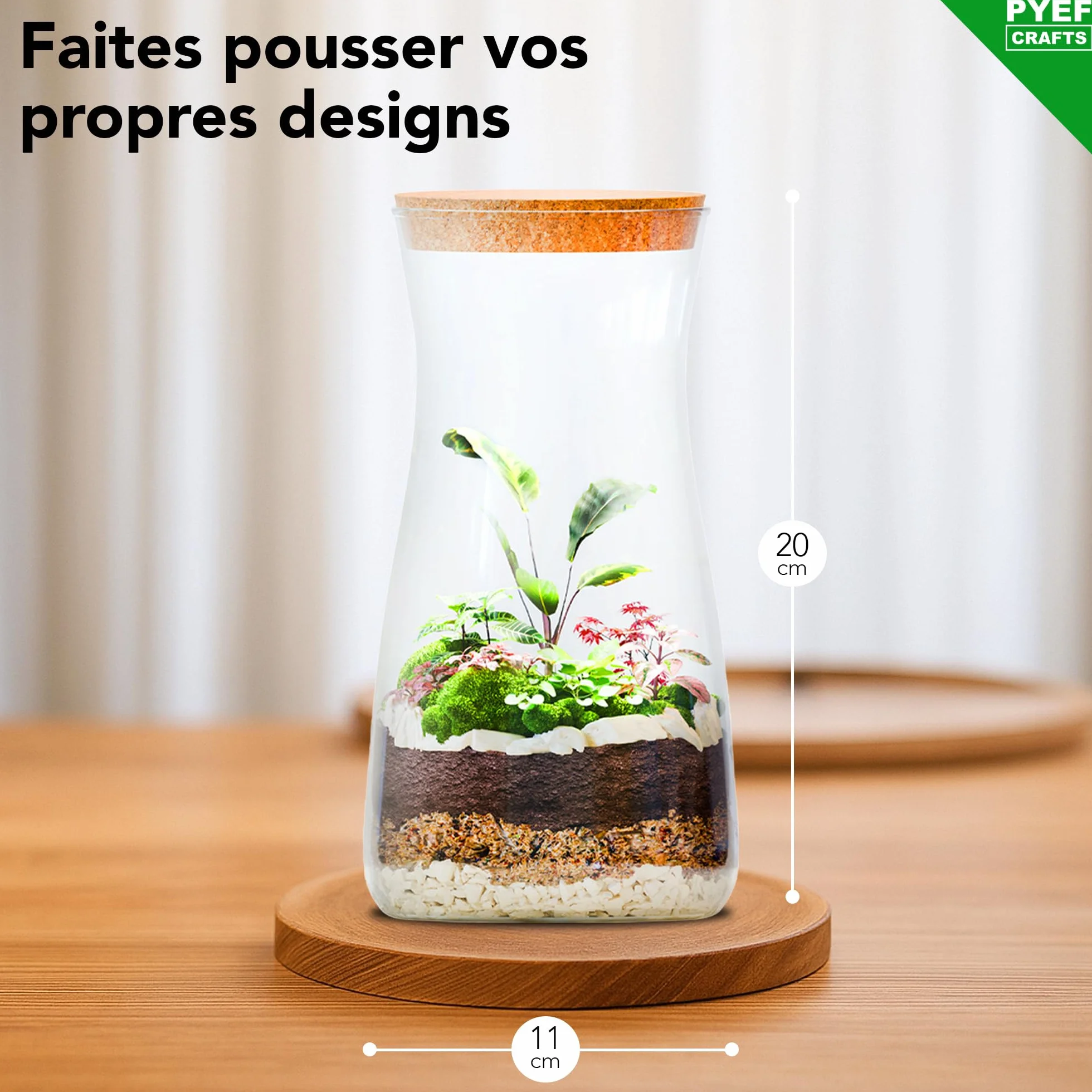 Kit Terrarium Plante DIY Verre - Prêt-à-Pousser Jardin Bouteille - Set Faire Pousser